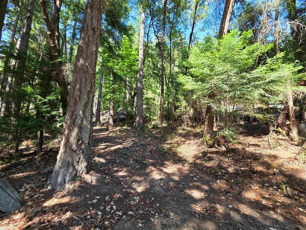 488 Letour Road, Mayne Island, V0N 2J2 — photo 4