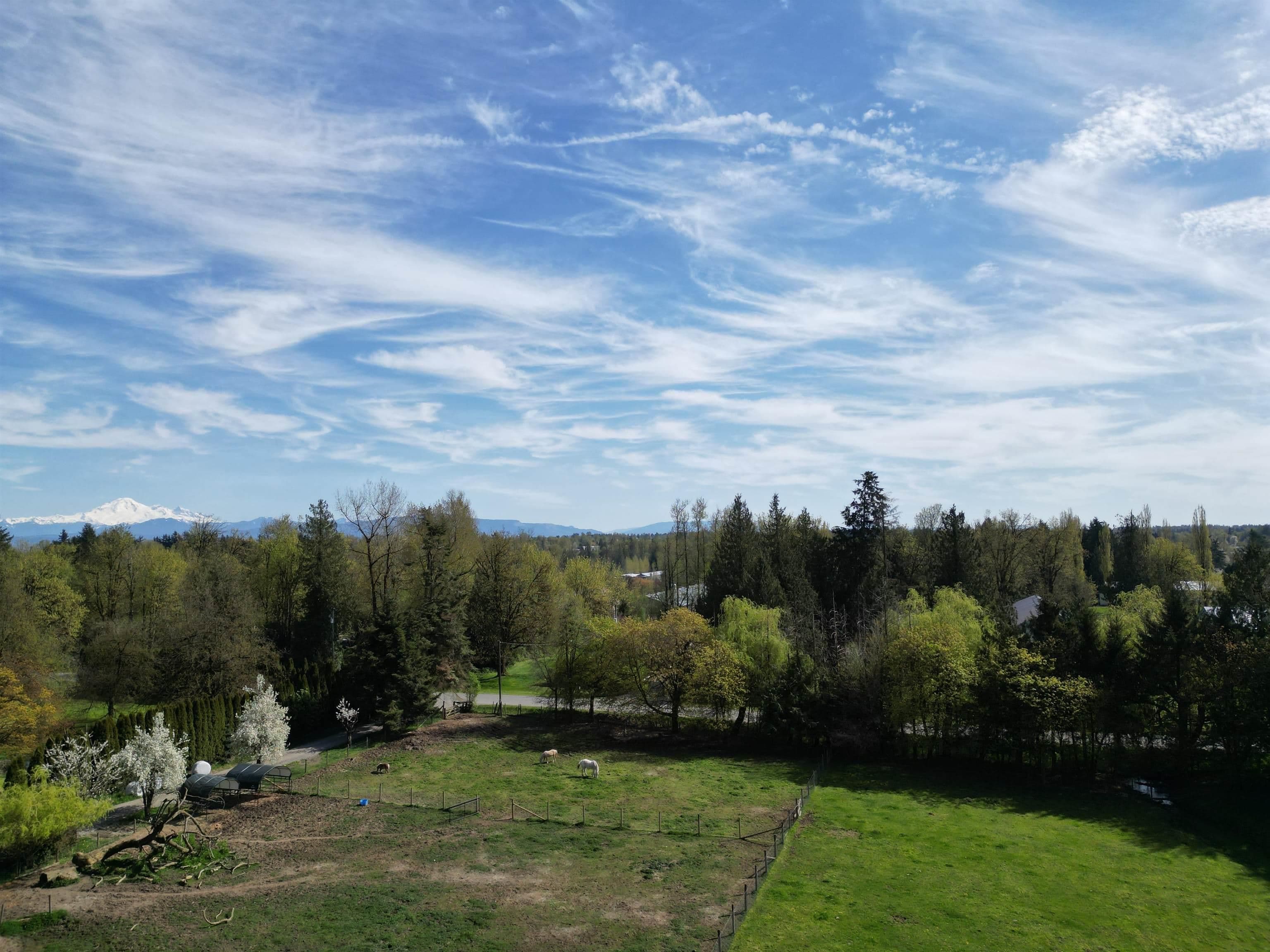 28927 Buchanan Avenue, Abbotsford, V4X 2C8 — photo 5