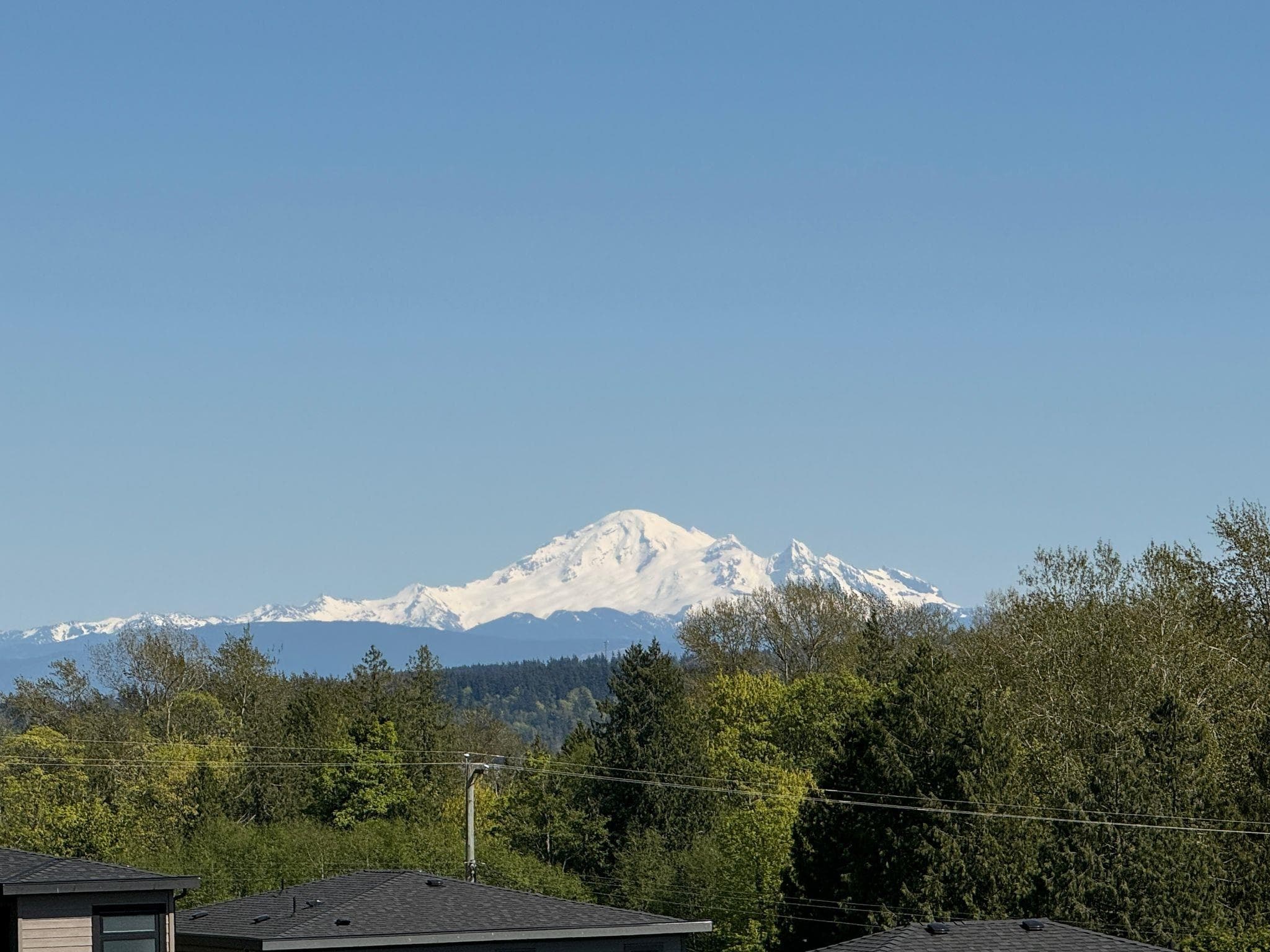 16730 16 Avenue, Surrey