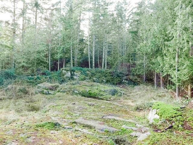 6151 Harbour Way, Sechelt, V0N 3A5 — photo 5