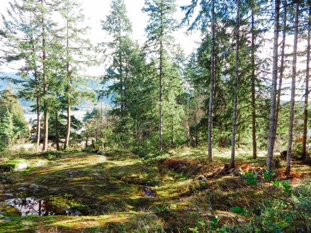 6151 Harbour Way, Sechelt, V0N 3A5 — photo 4