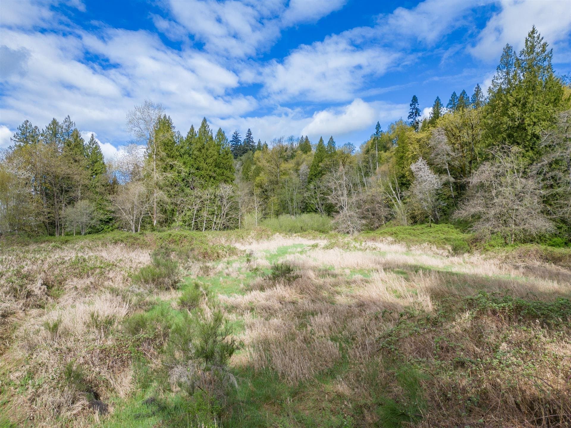 25655 Lougheed Highway, Maple Ridge, V2W 1M3 — photo 3