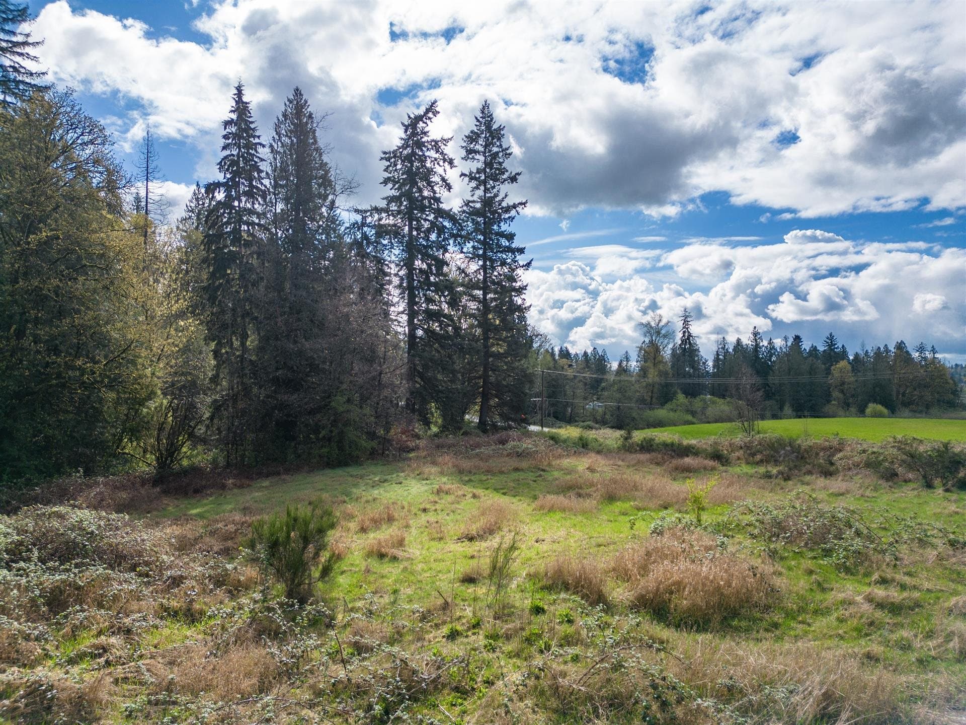 25655 Lougheed Highway, Maple Ridge, V2W 1M3 — photo 5