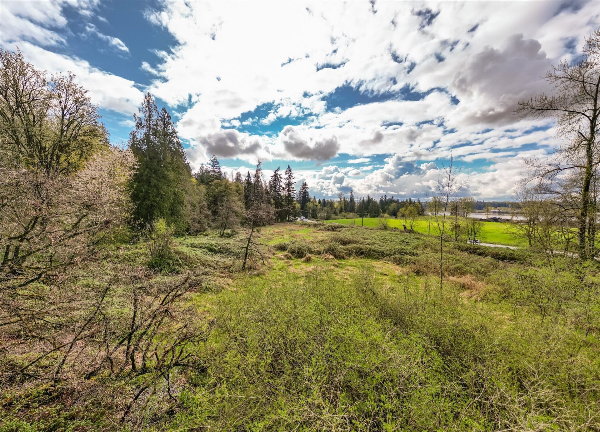 25655 Lougheed Highway, Maple Ridge, V2W 1M3 — photo 4