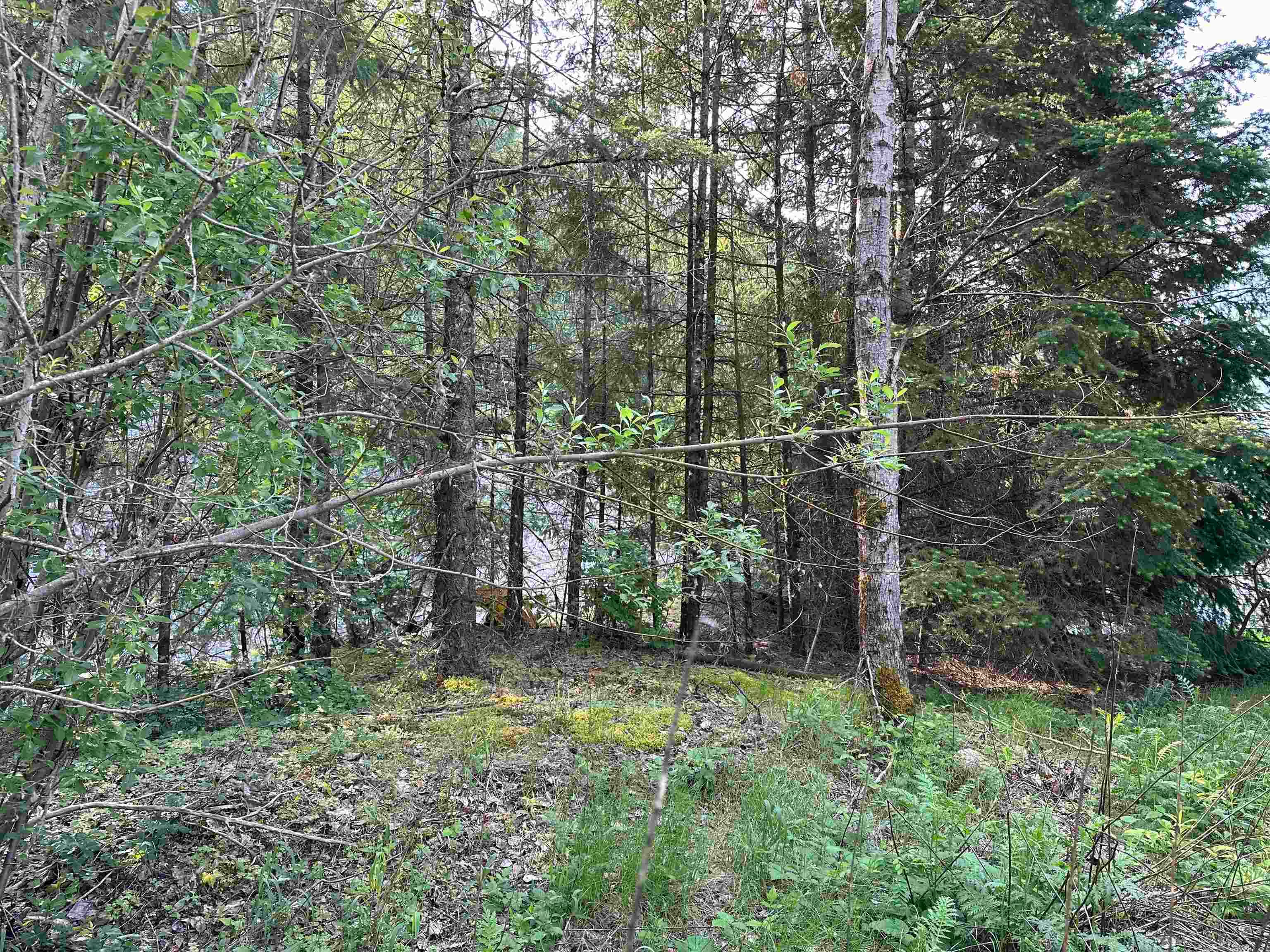 21647 Thacker Mtn Road, Hope, V0X 1L1 — photo 3