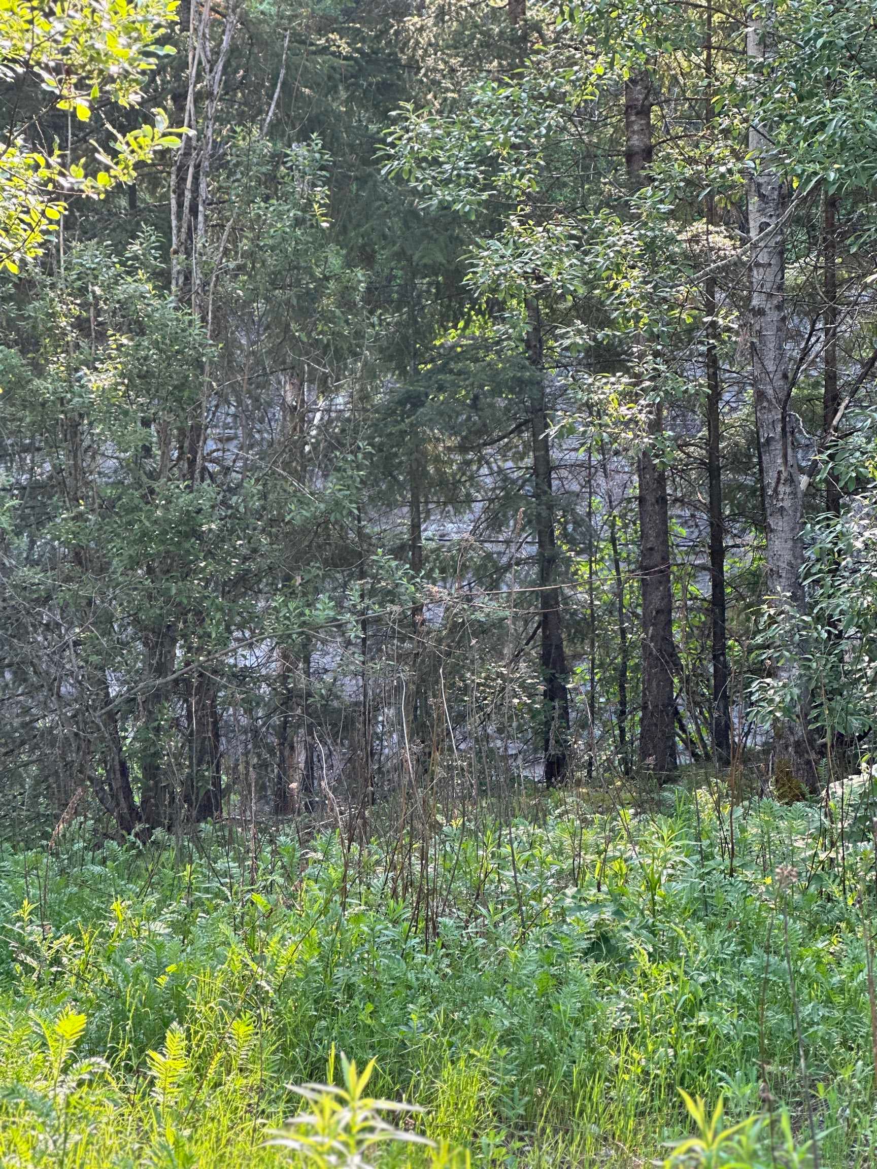 21647 Thacker Mtn Road, Hope, V0X 1L1 — photo 4