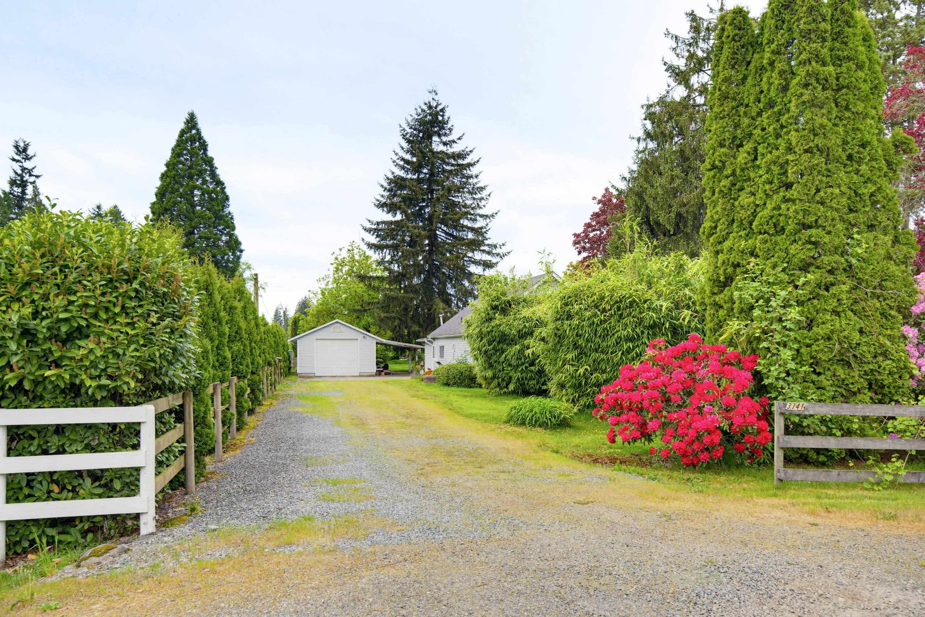 3741 224 Street Street, Langley — sold