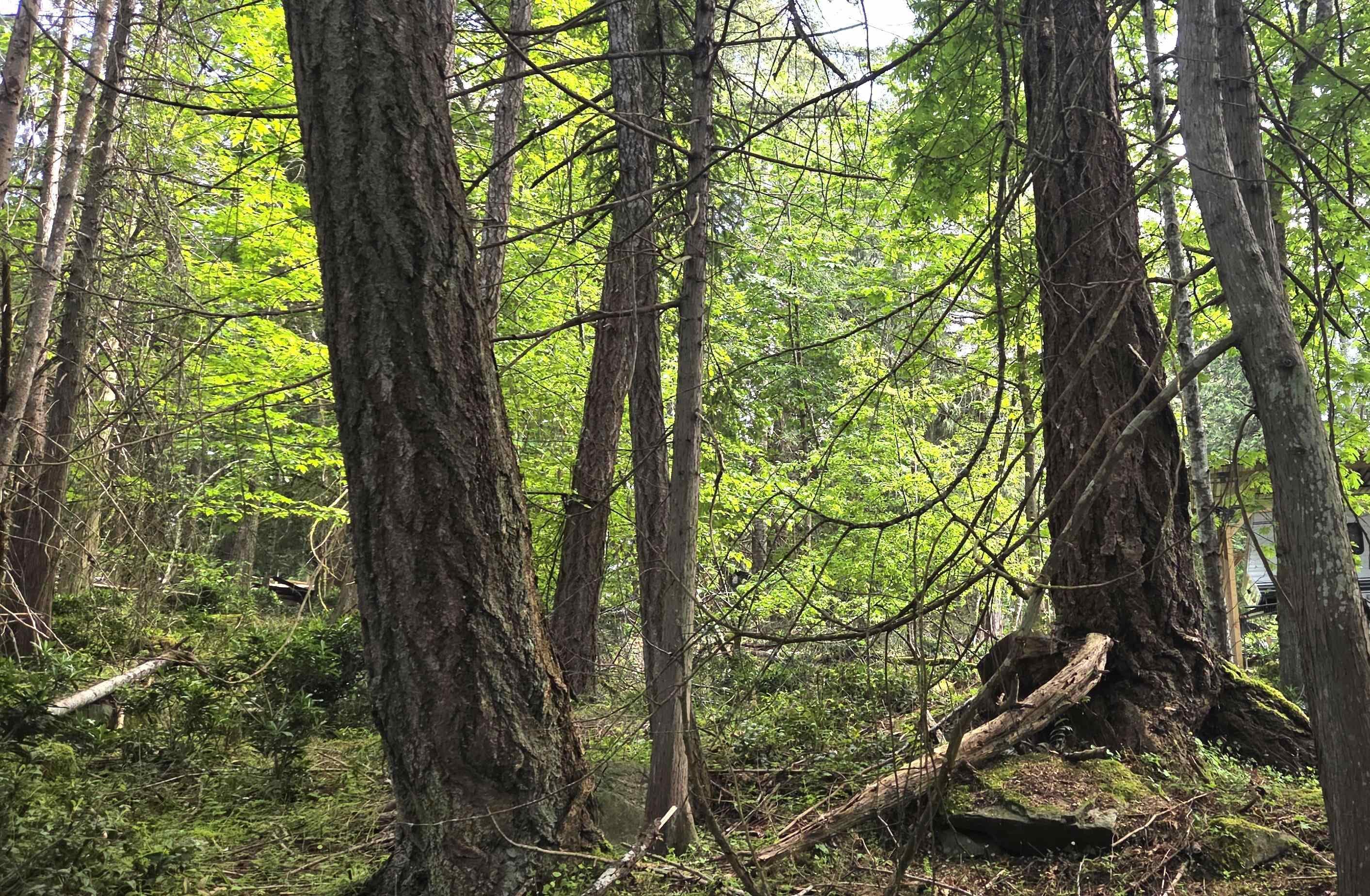 242 Mariners Way, Mayne Island