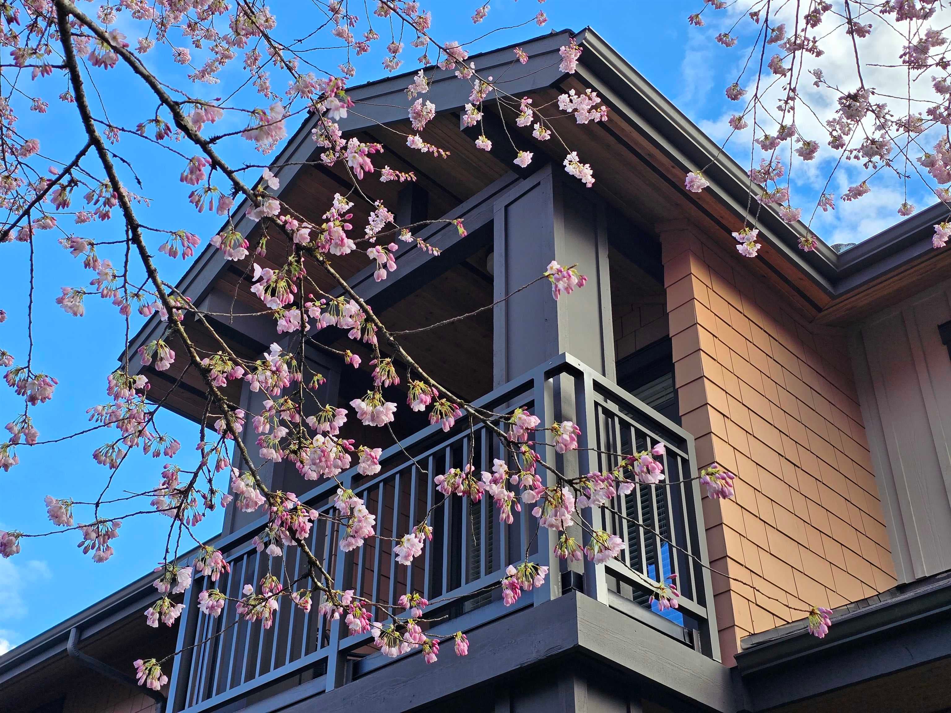 29 - 555 Raven Woods Drive, North Vancouver