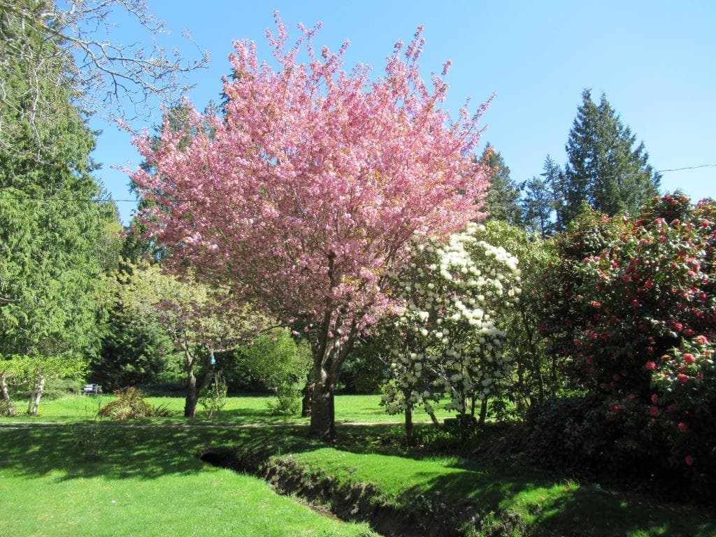 1308 Burns Road, Gibsons, V0N 1V1 — photo 3