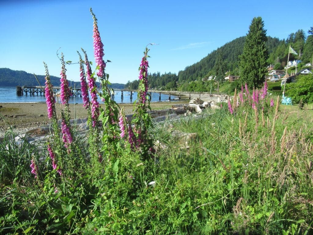 1308 Burns Road, Gibsons, V0N 1V1 — photo 5
