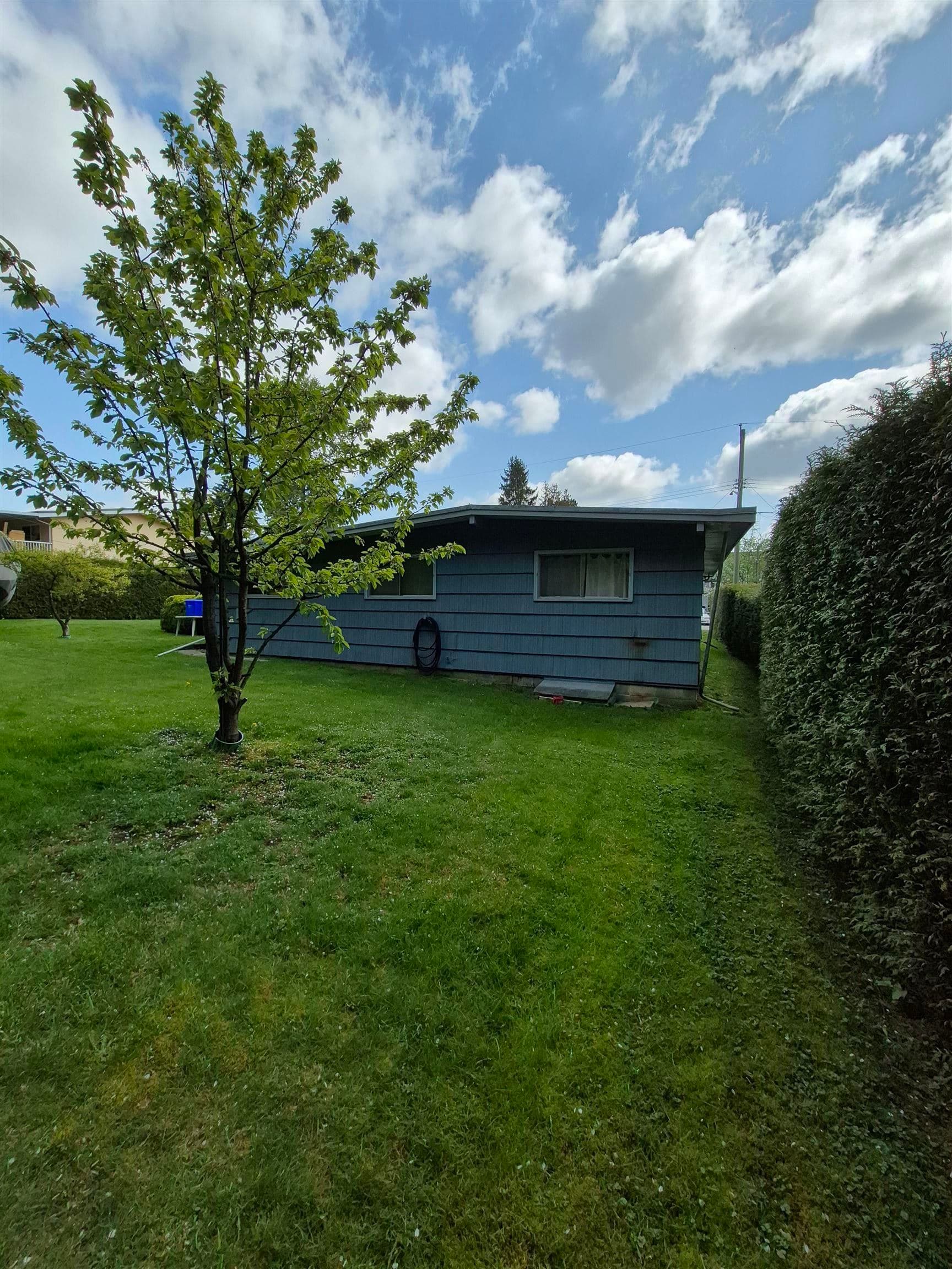 10587 138a Street, Surrey, V3T 4L2 — photo 5