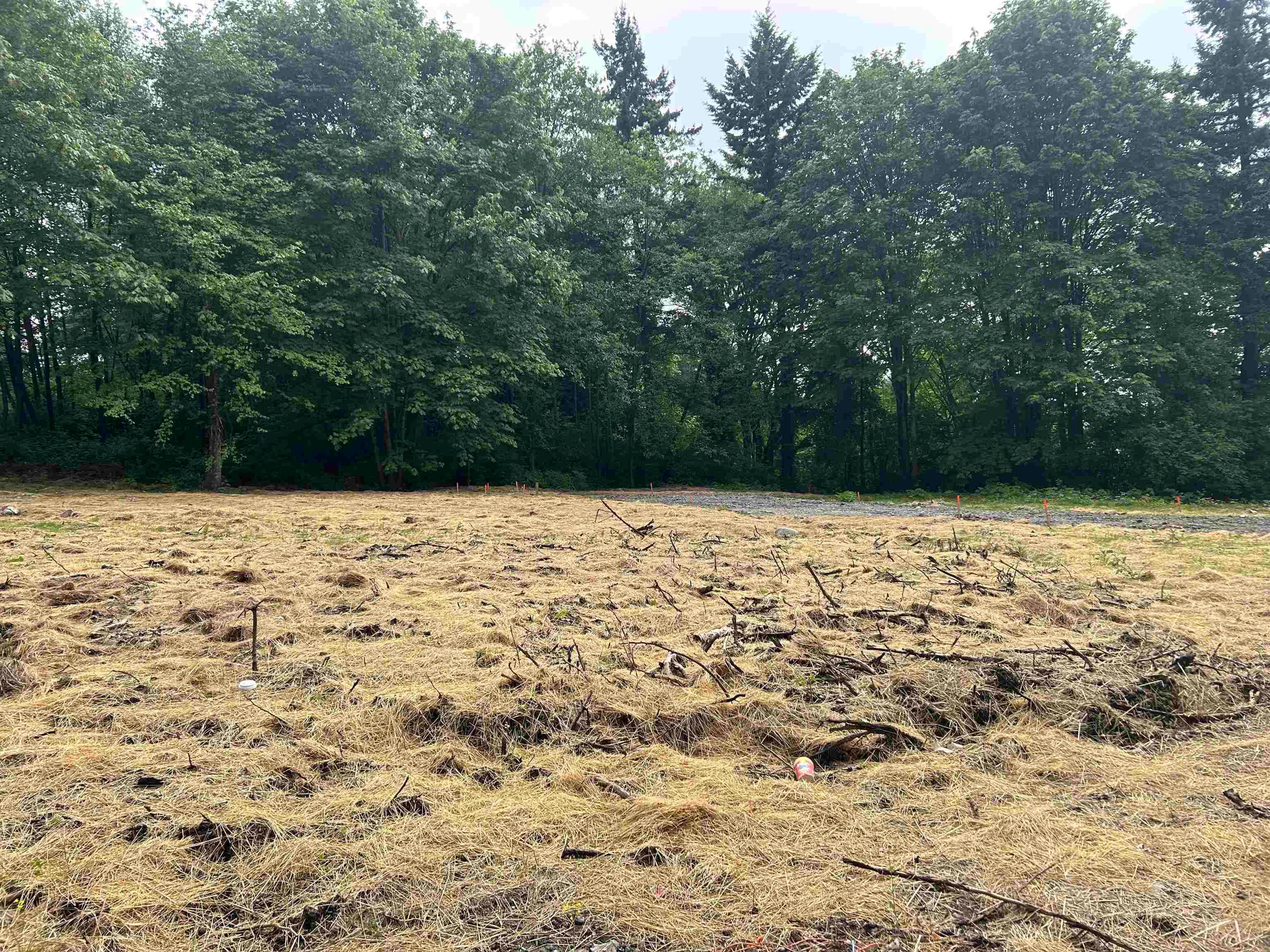 LT.4 - 11083 River Road, Delta, V4C 2S3 — photo 3