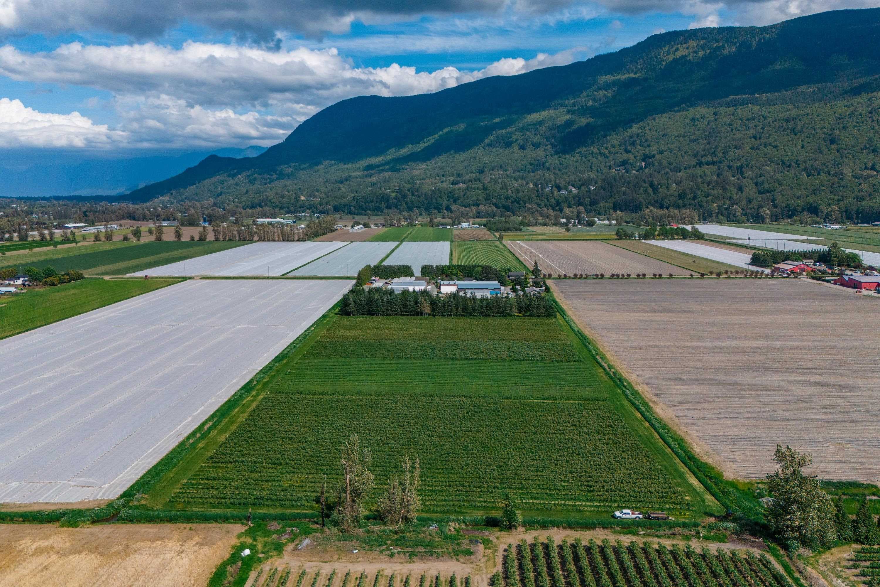 3387 Tolmie Road, Abbotsford