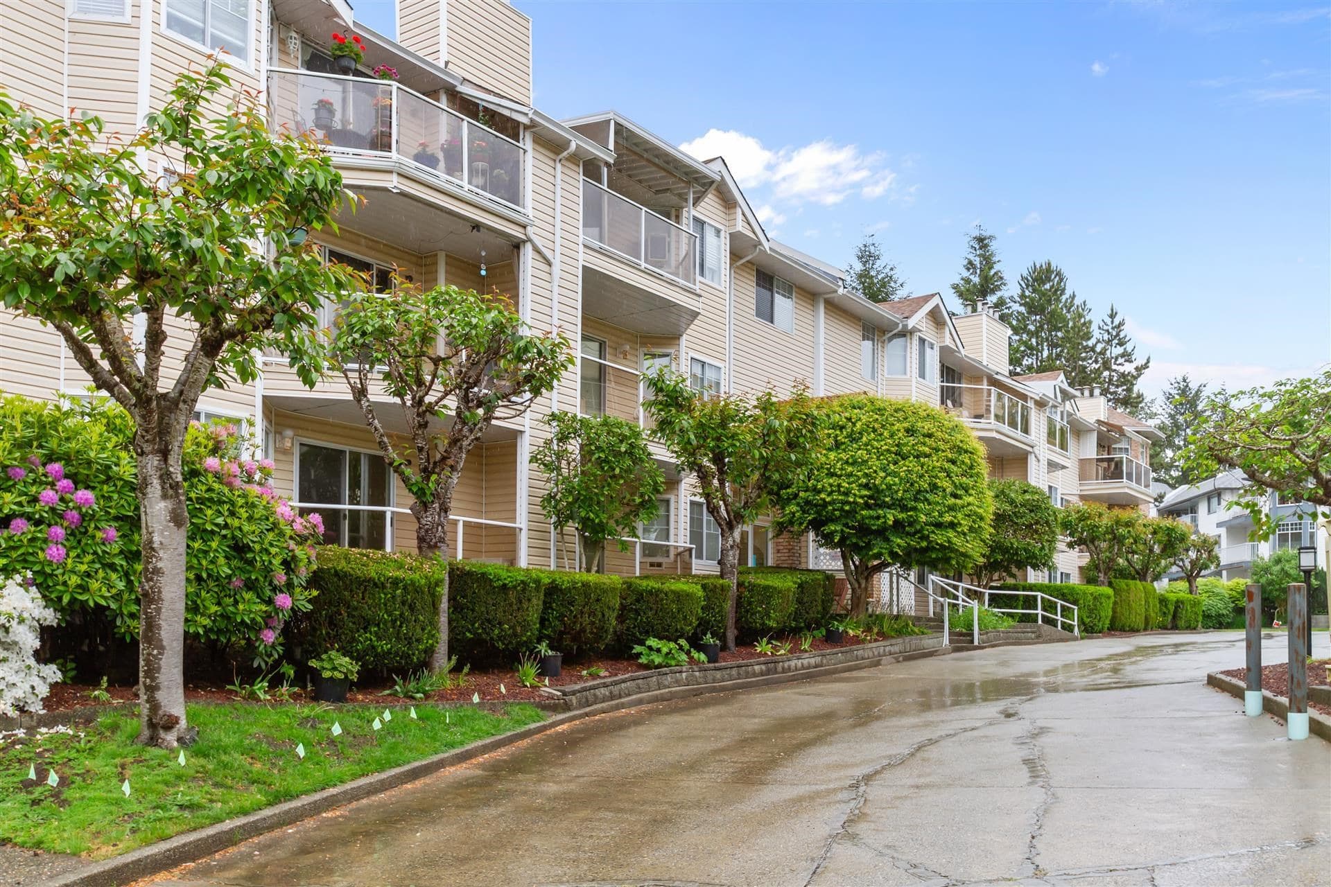 325 - 22611 116 Avenue, Maple Ridge