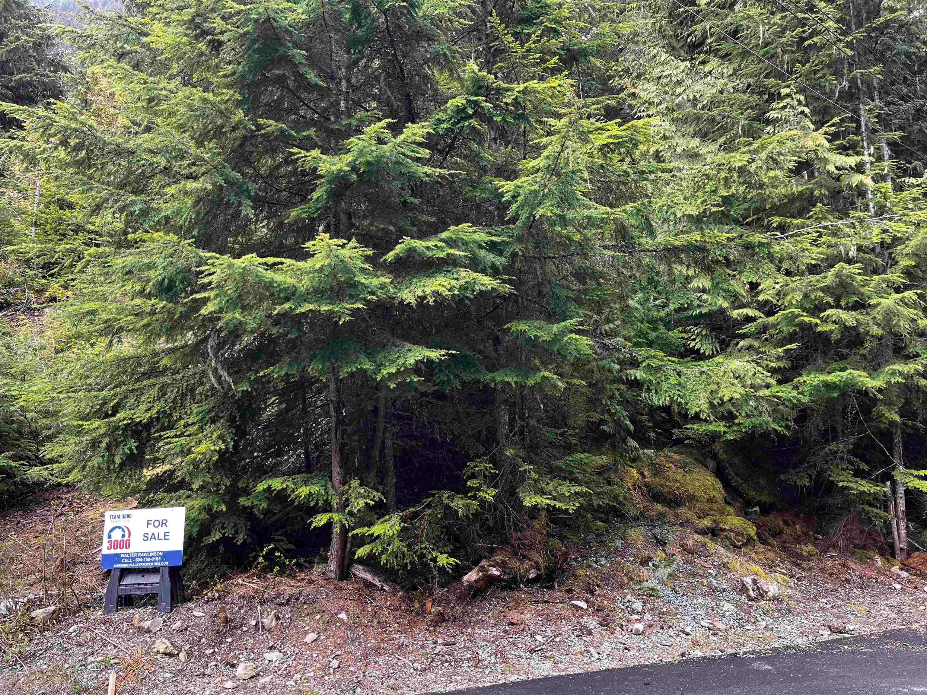 14963 Parkwood Street, Sunshine Valley