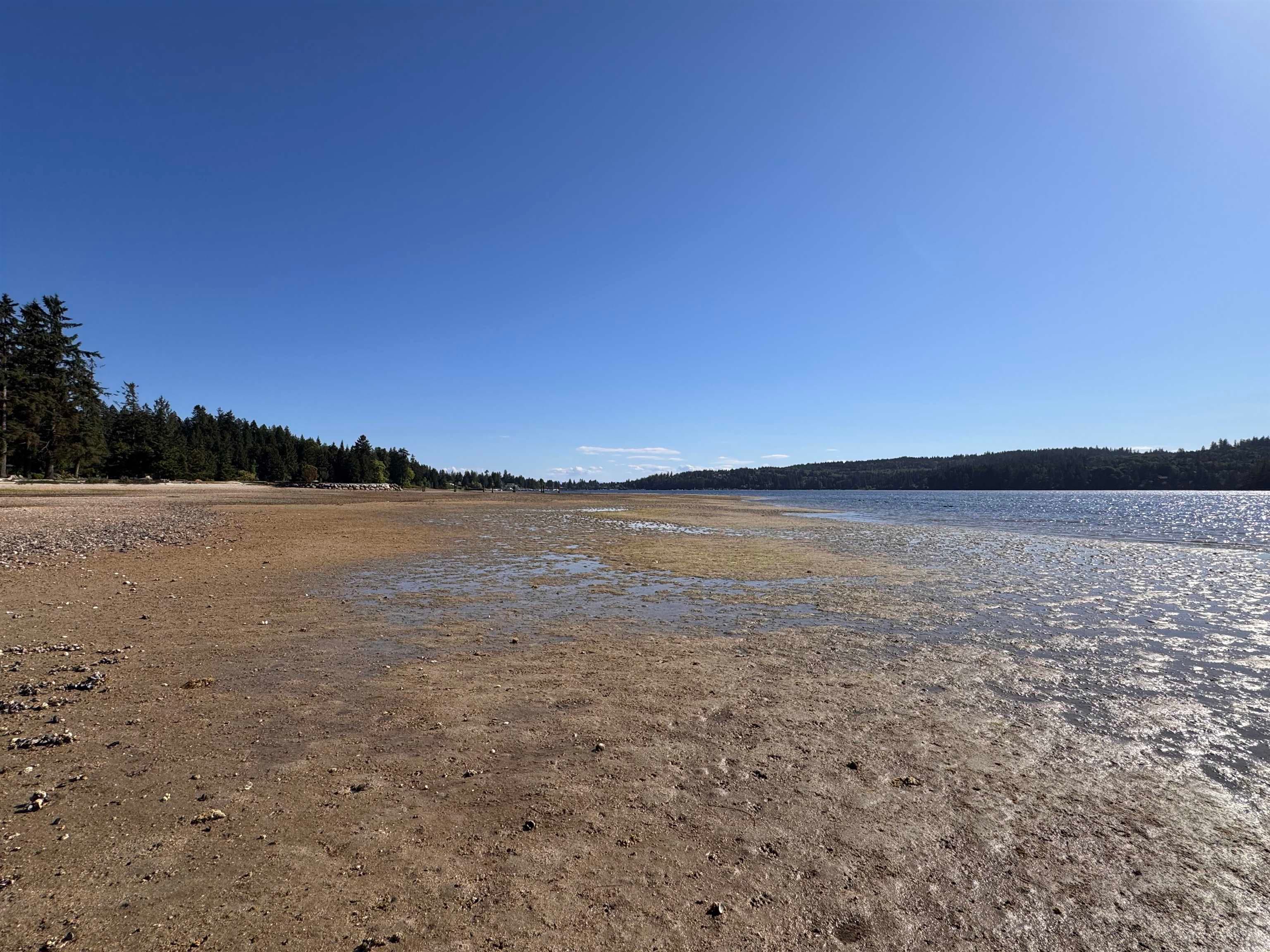 Lot A Sechelt Inlet Road, Sechelt, V7Z 0L3 — photo 5