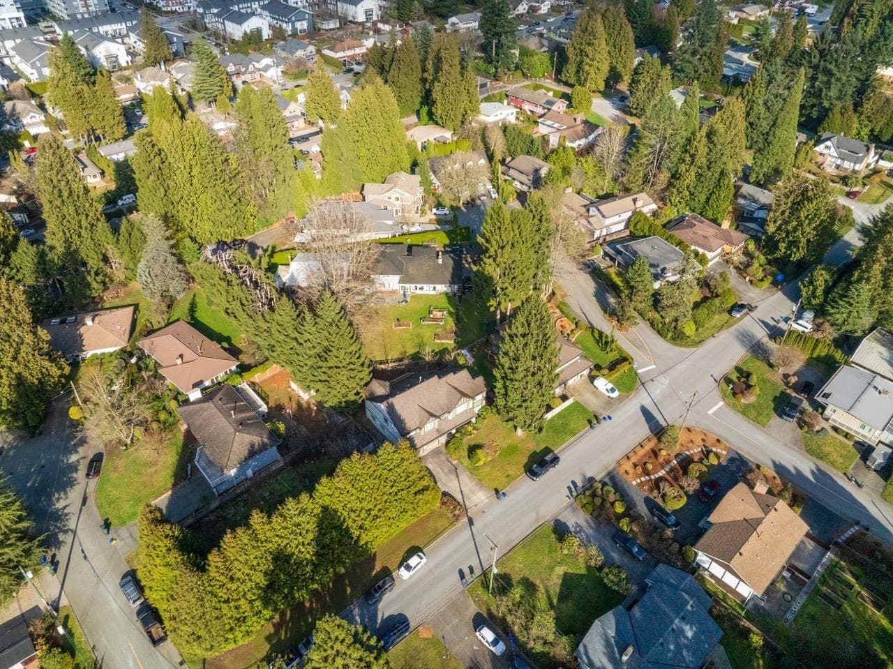 529 Perth Avenue, Coquitlam, V3J 7V1 — photo 5