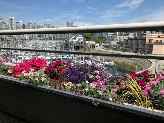 313 - 674 Leg In Boot Square, Vancouver, V5Z 4B4 — photo 3