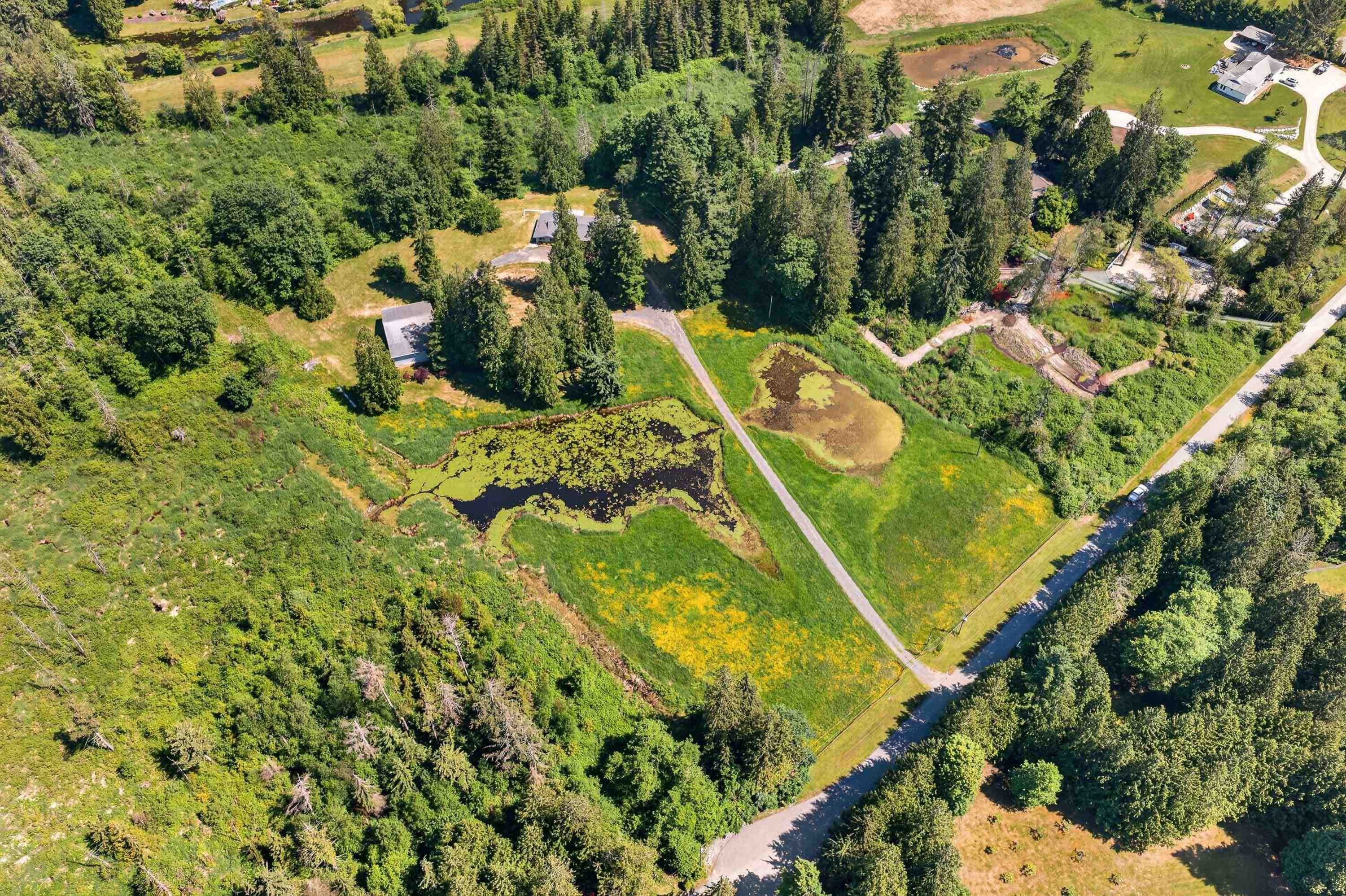 22065 102 Avenue, Langley, V1M 3V3 — photo 4
