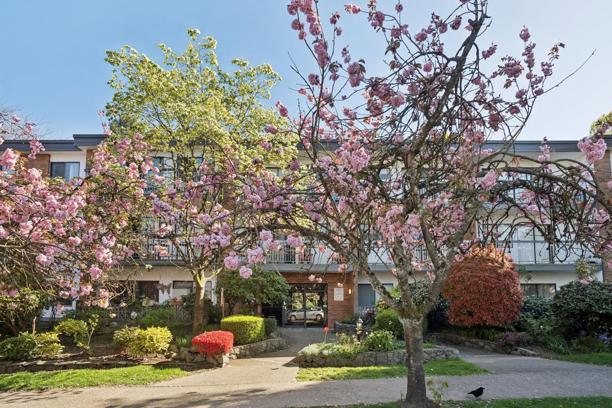 213 - 1950 W 8th Avenue, Vancouver