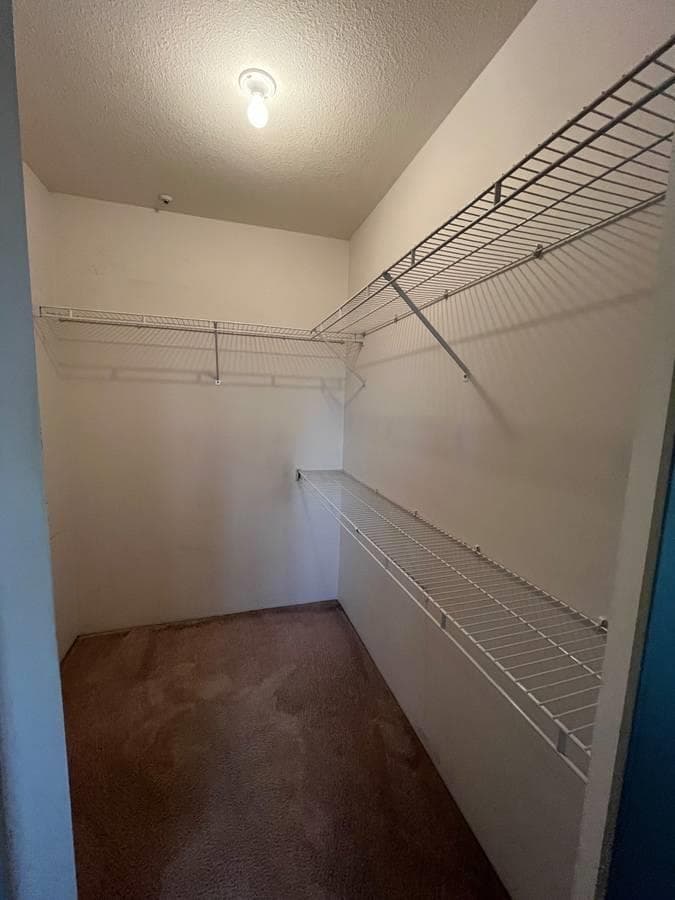 11595 Fraser Street, Maple Ridge, V2X 0X7 — photo 5