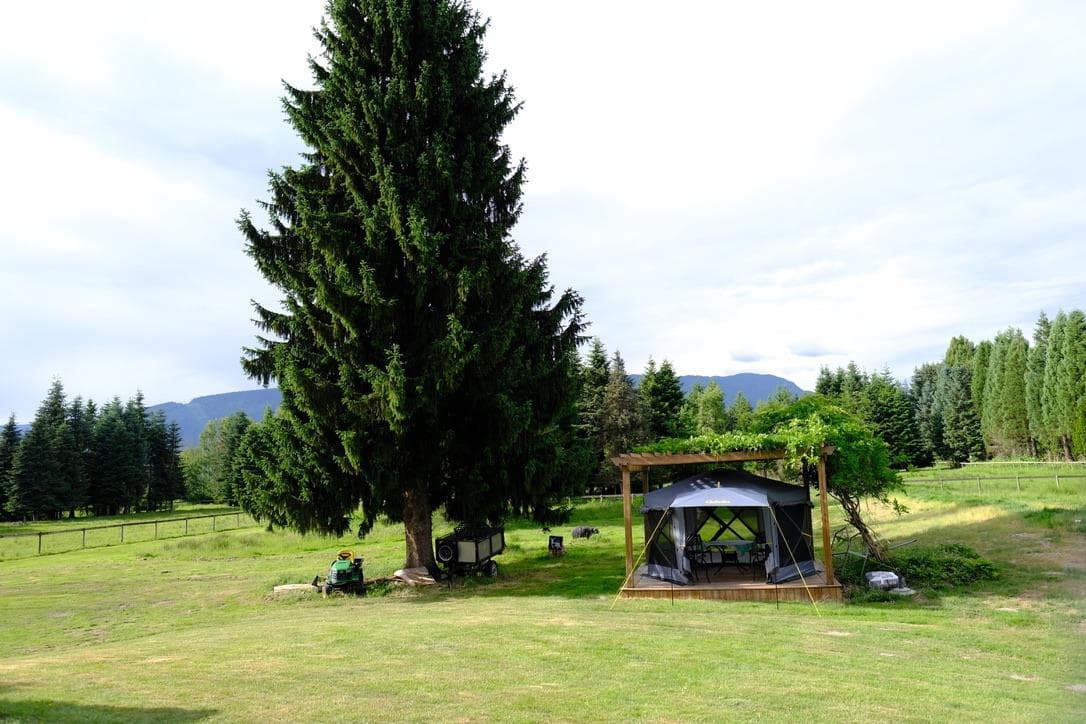 19465 Mcneil Road, Pitt Meadows, V3Y 1Z1 — photo 4