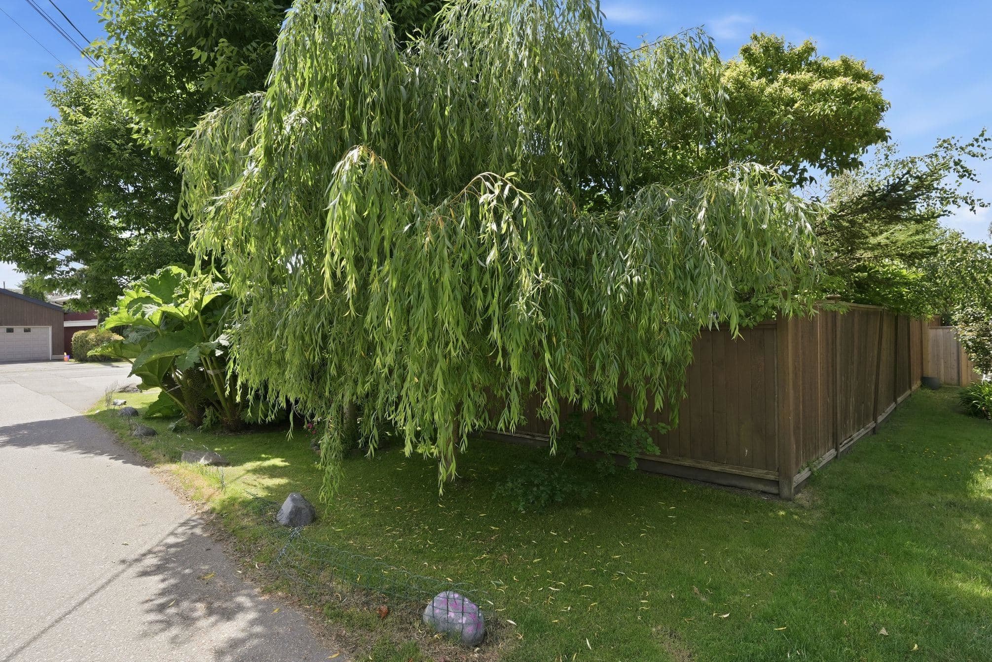 1291 Morris Crescent, Delta, V4L 1W2 — photo 3