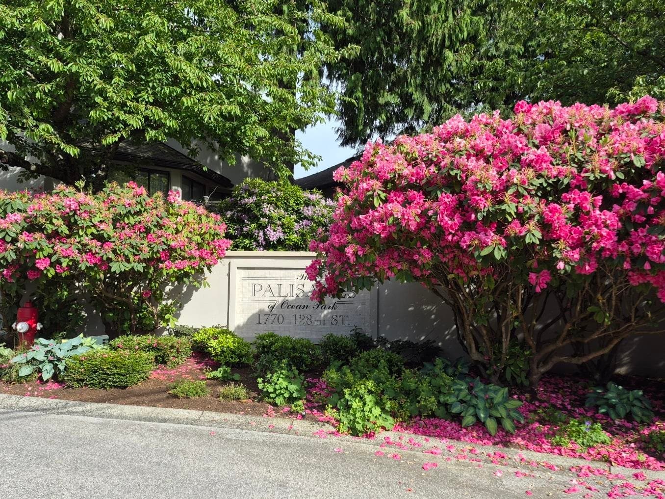 127 - 1770 128 Street, Surrey