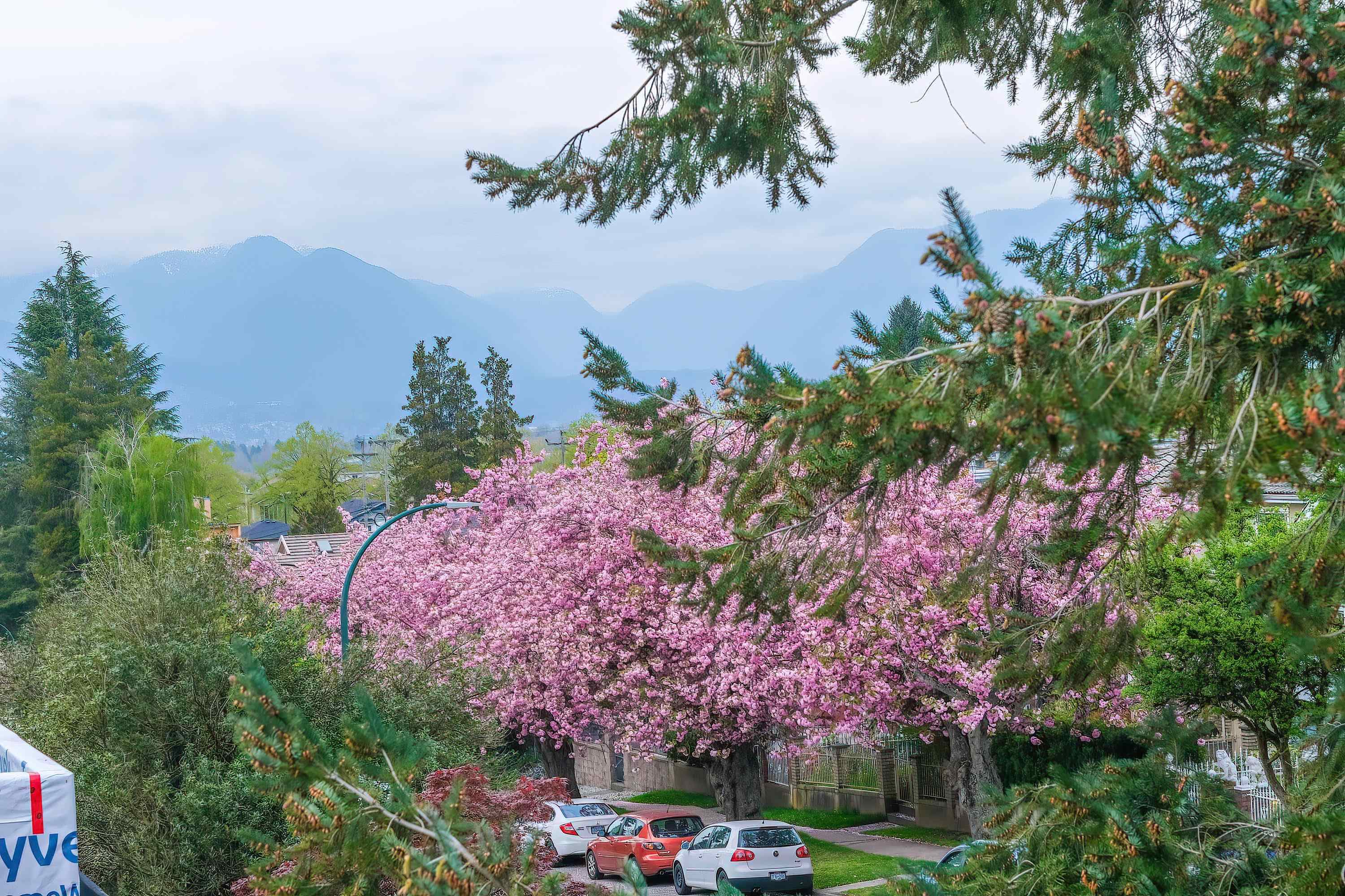 1 - 5595 Fleming Street, Vancouver, V5P 3G1 — photo 5