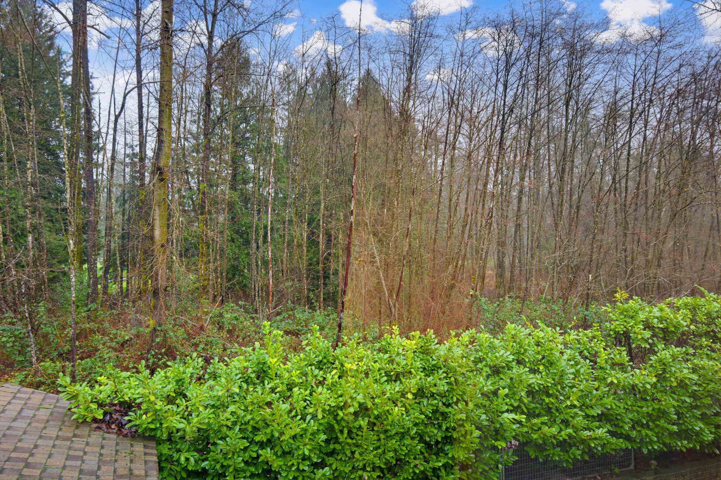 21686 93 Avenue, Langley, V1M 4E1 — photo 5