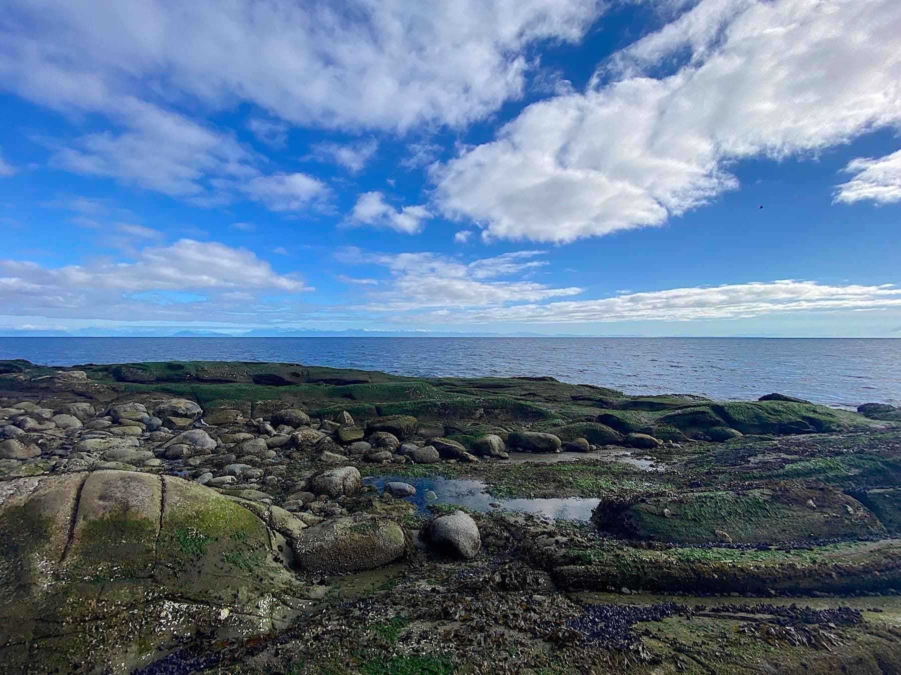 Lot 19 Bodega Beach Drive, Galiano Island, V0N 1P0 — photo 2