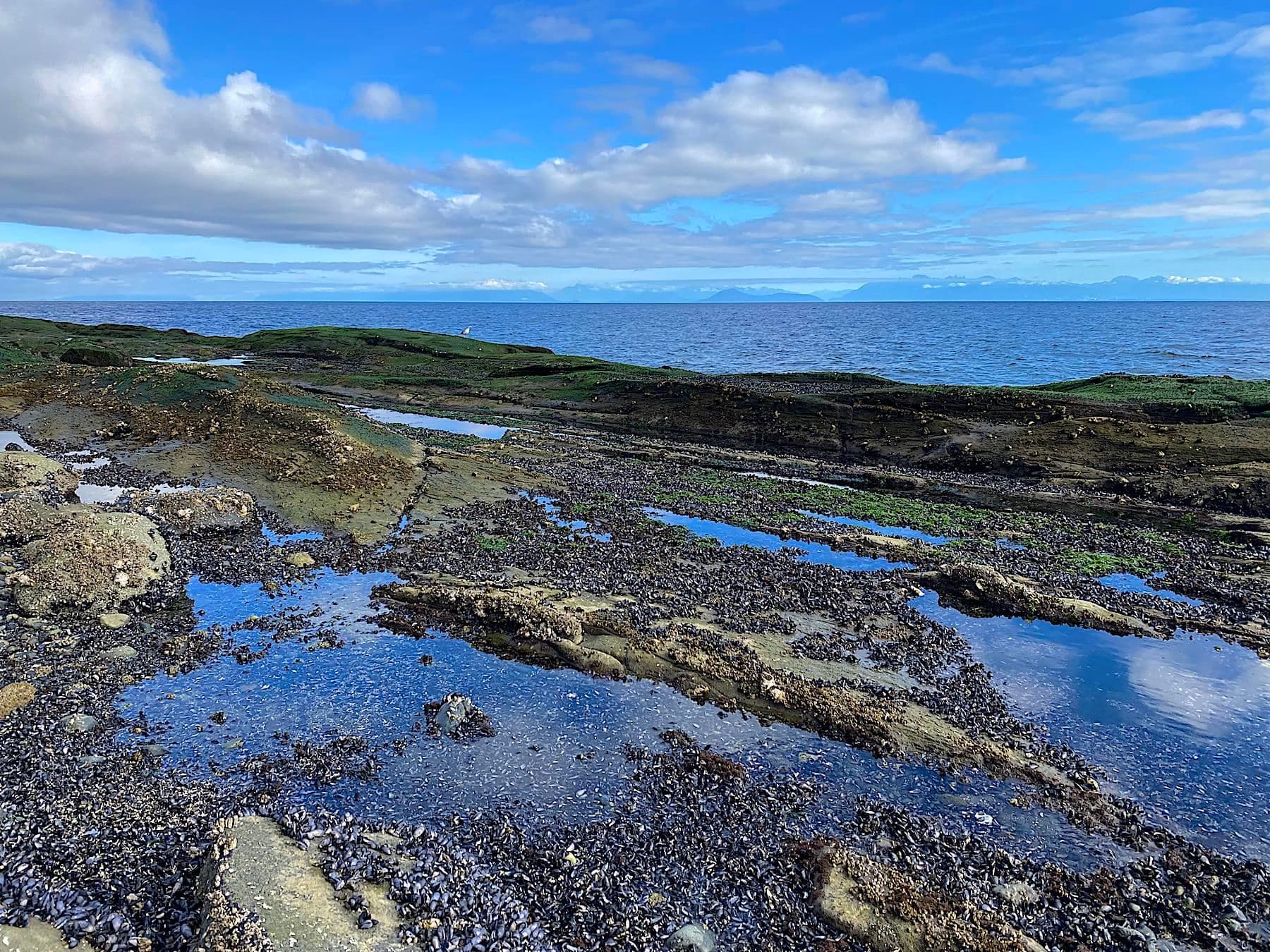 Lot 19 Bodega Beach Drive, Galiano Island, V0N 1P0 — photo 3