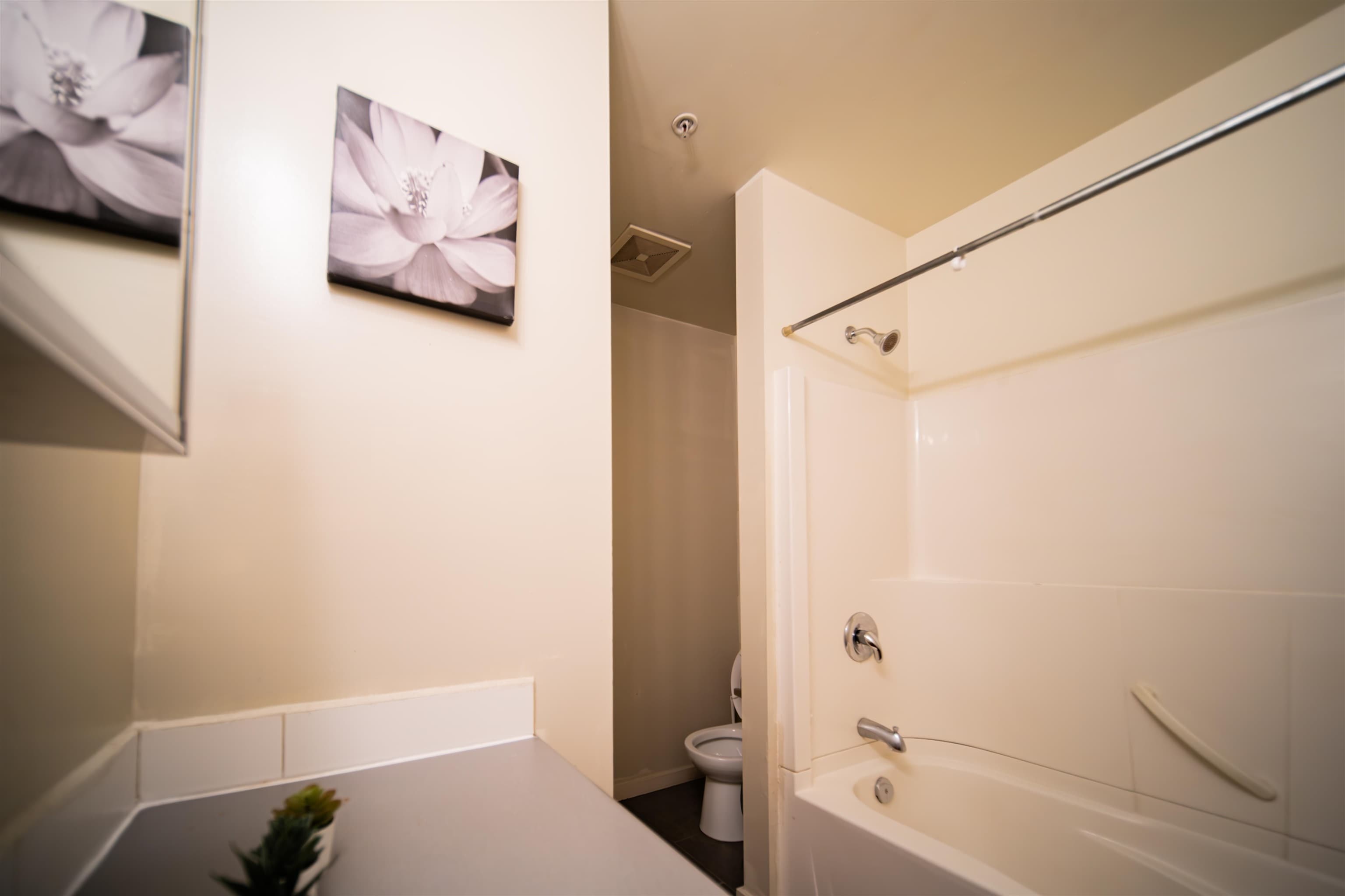 203 - 440 Richards Street, Vancouver, V6B 2Z3 — photo 3