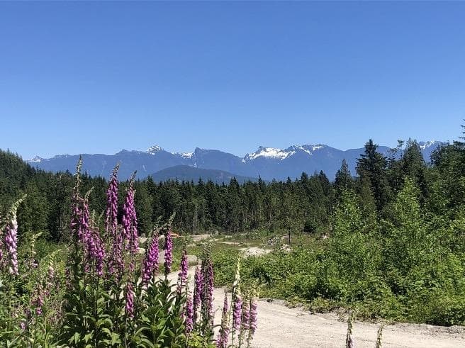 Lot D Elphinstone Crossing, Gibsons