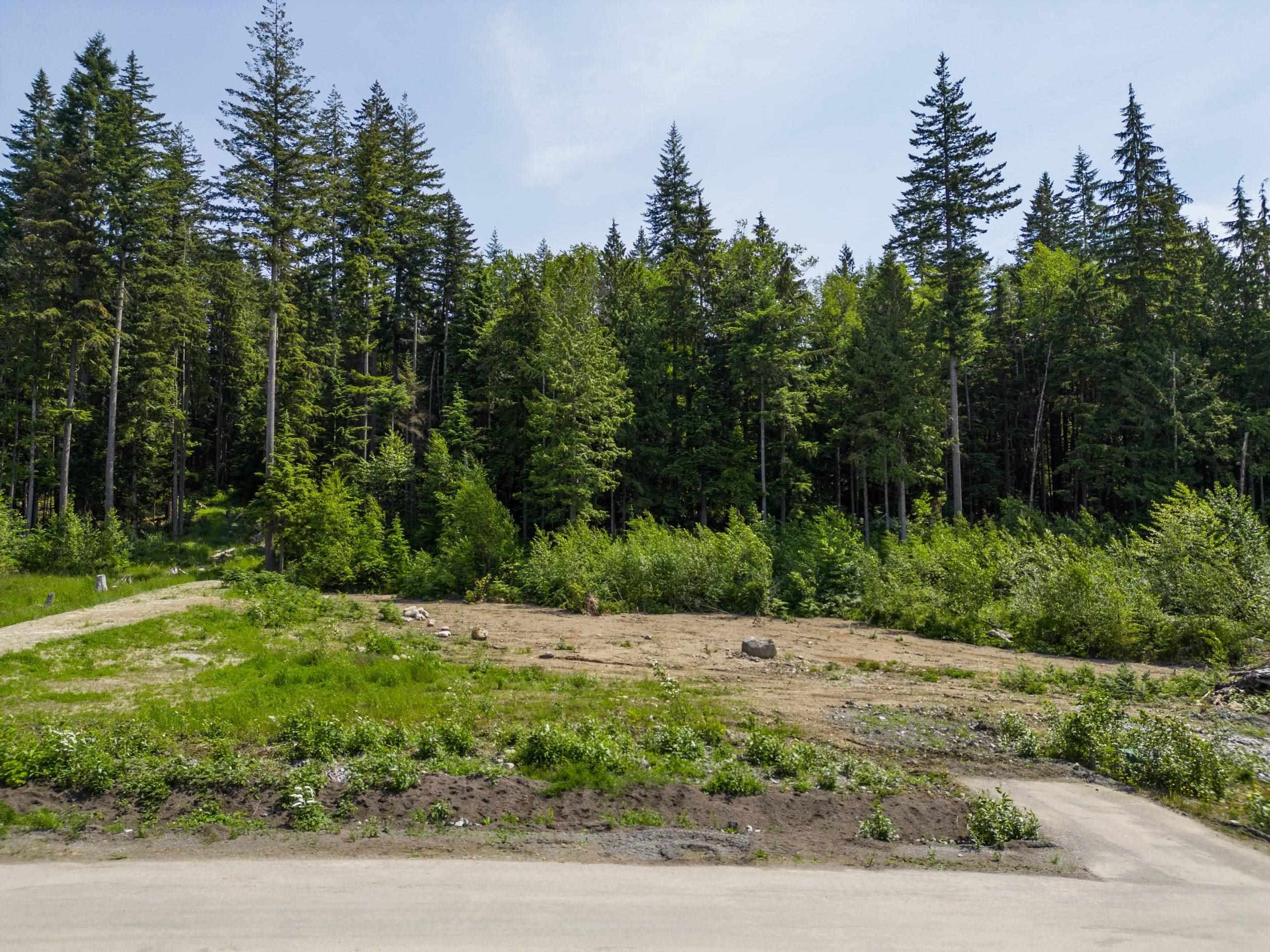 12582 271 Street, Maple Ridge, V2W 1C2 — photo 3