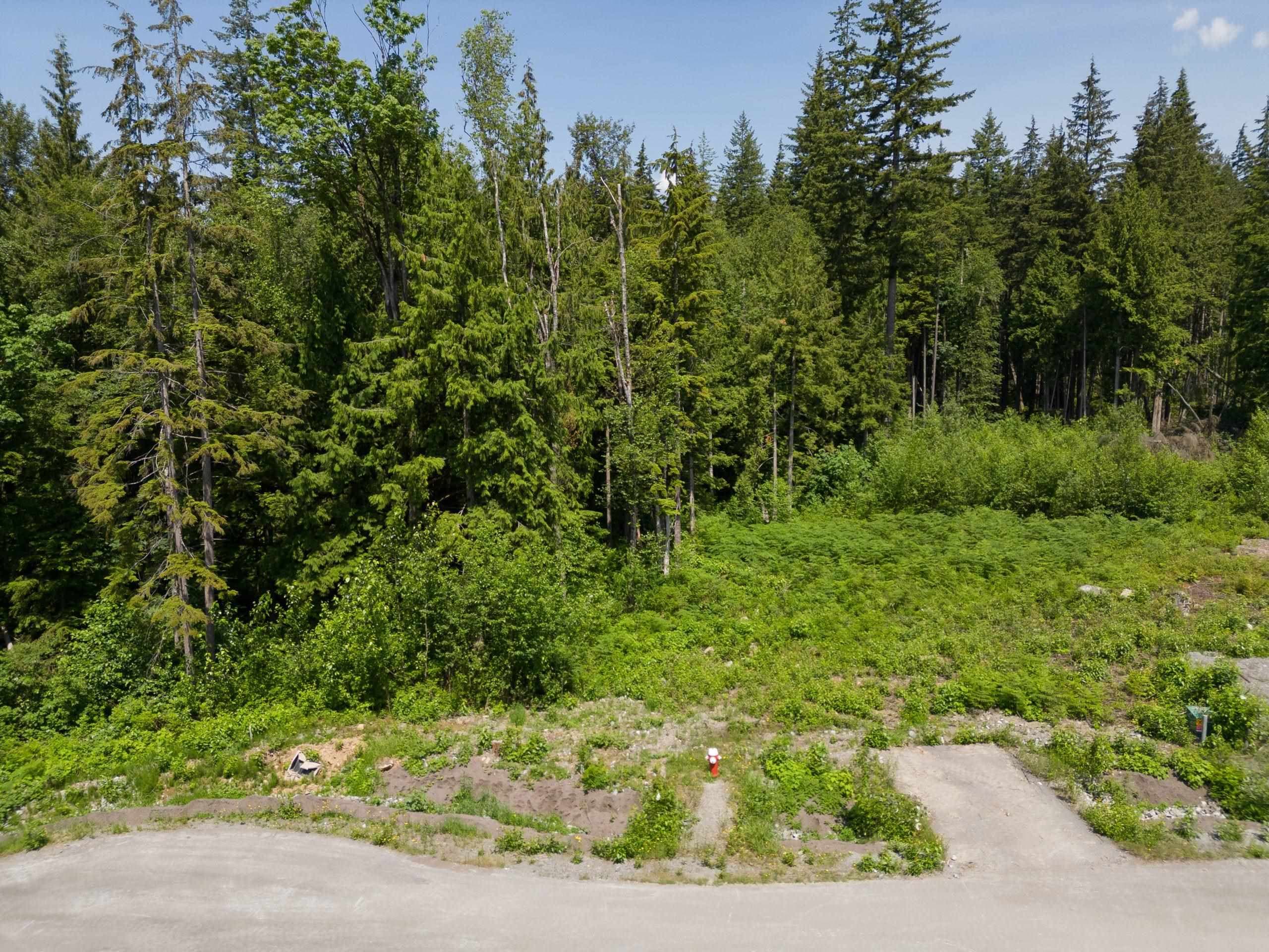 27031 124b Avenue, Maple Ridge, V2W 1C2 — photo 3