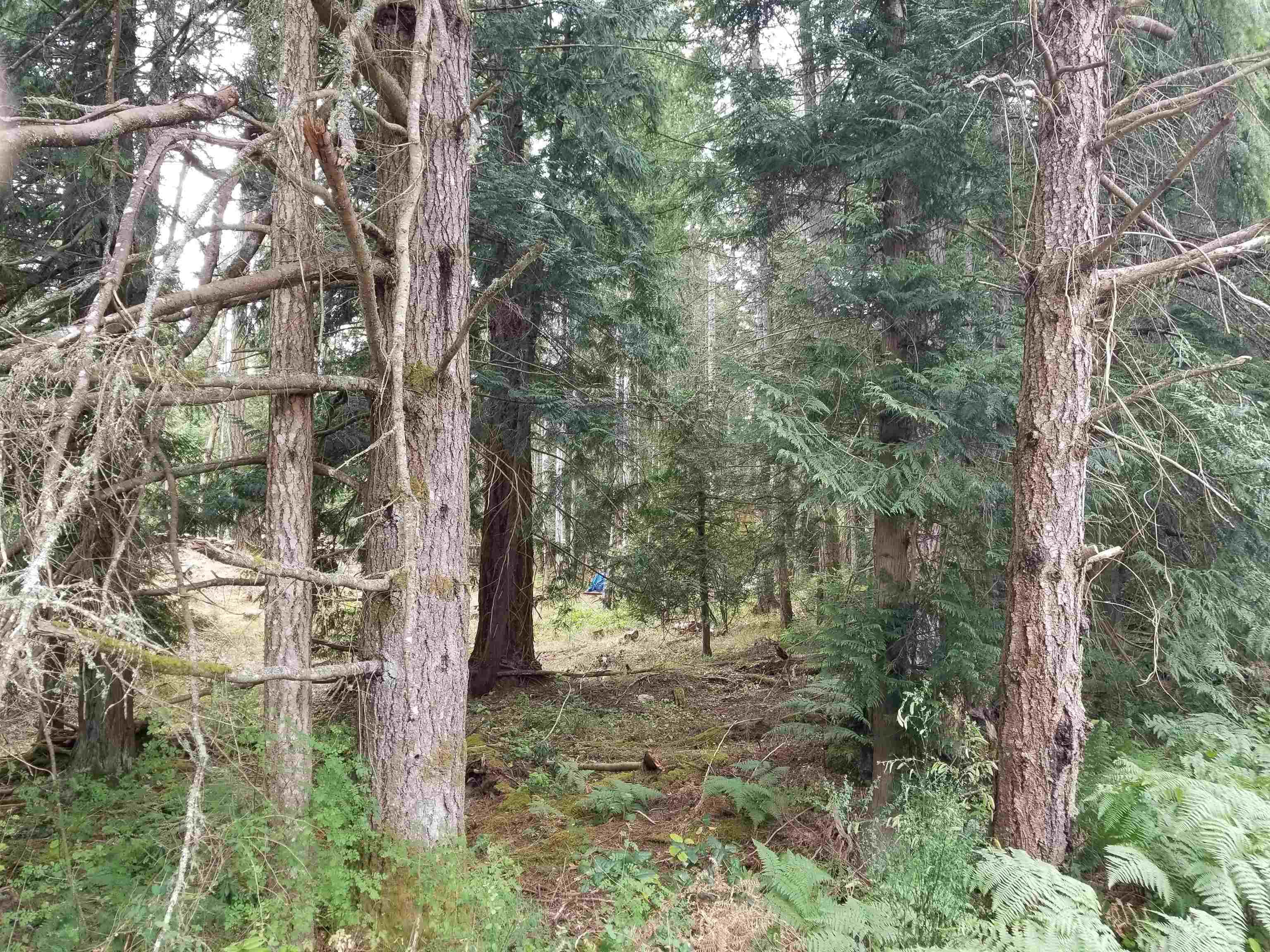 LOT 1 Burrill Road, Galiano Island, V0N 1P0 — photo 4