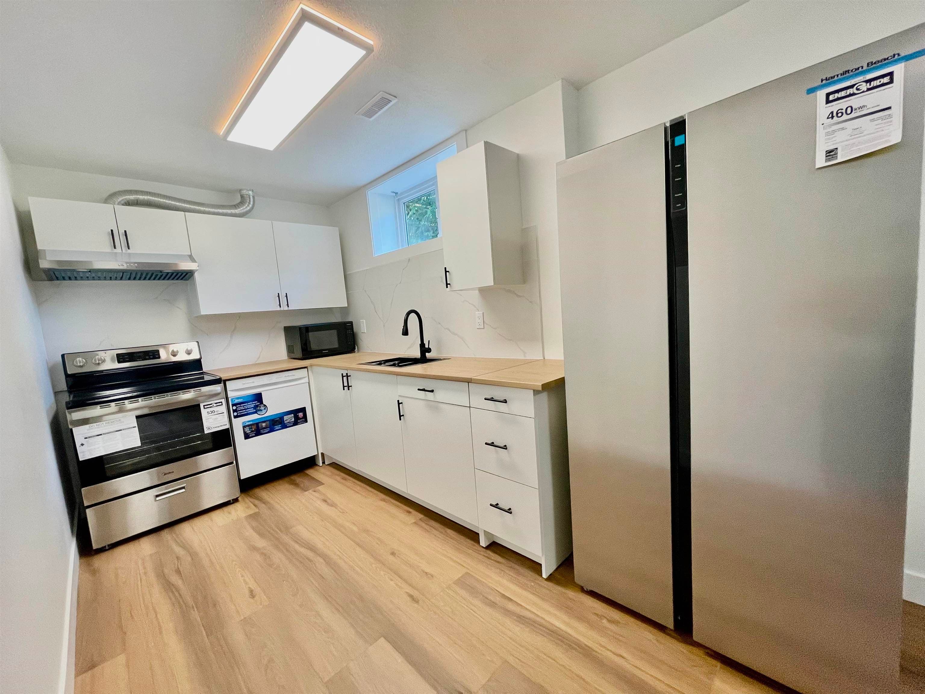 LOWER LEVEL - 1695X 84 Avenue, Surrey, V4N 4V3 — photo 3
