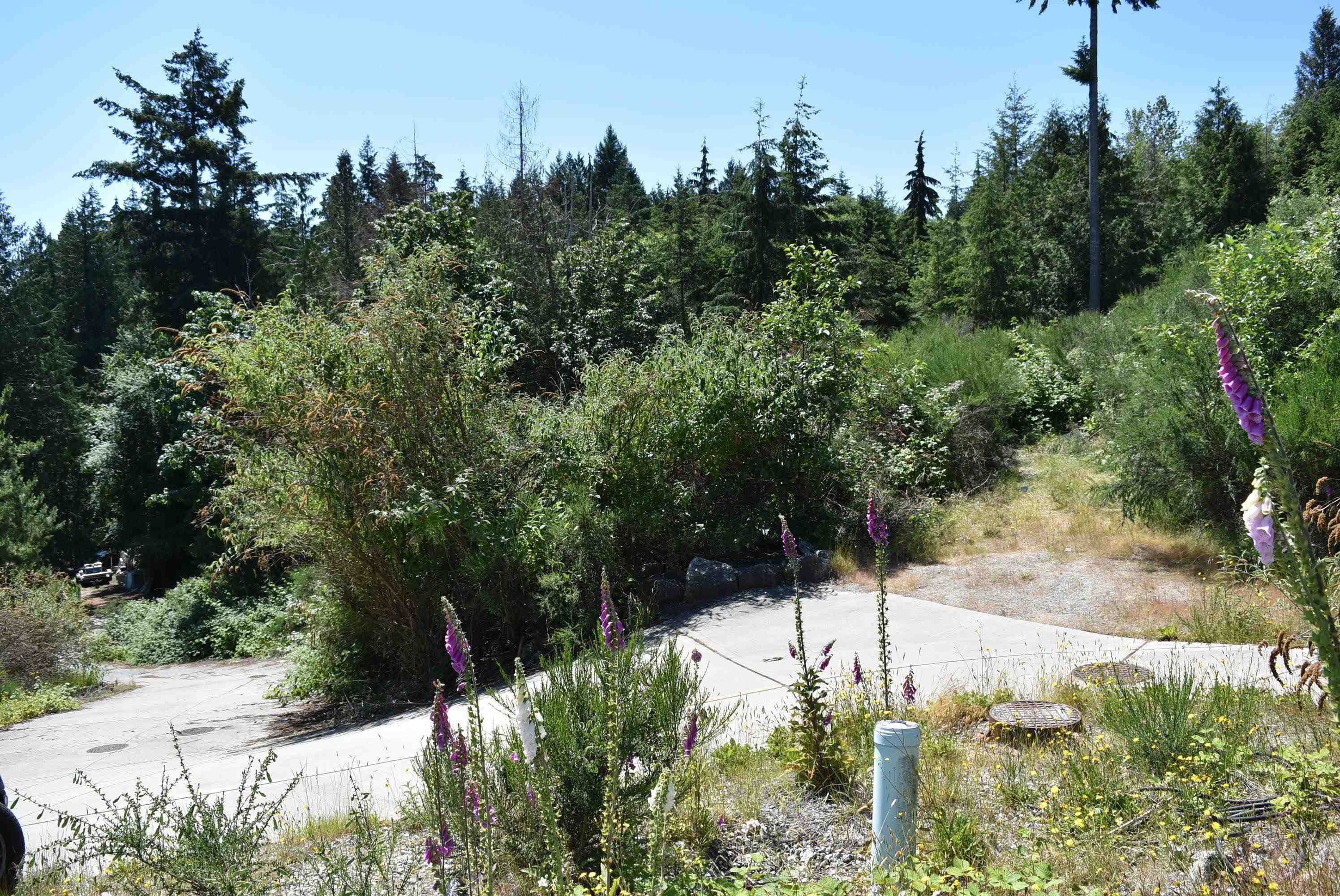 5828 Anchor Road, Sechelt, V0N 3A6 — photo 3
