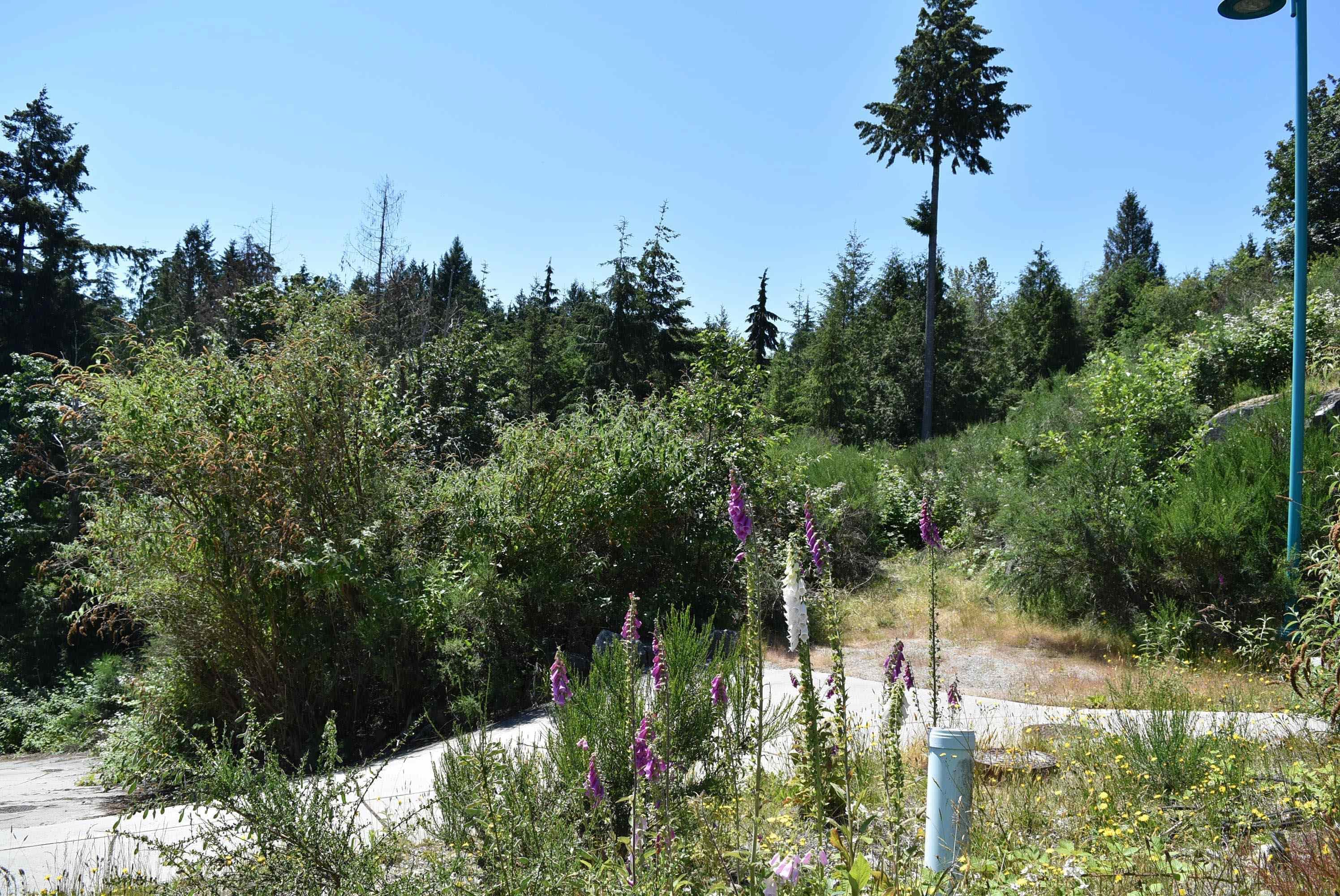 5828 Anchor Road, Sechelt, V0N 3A6 — photo 4