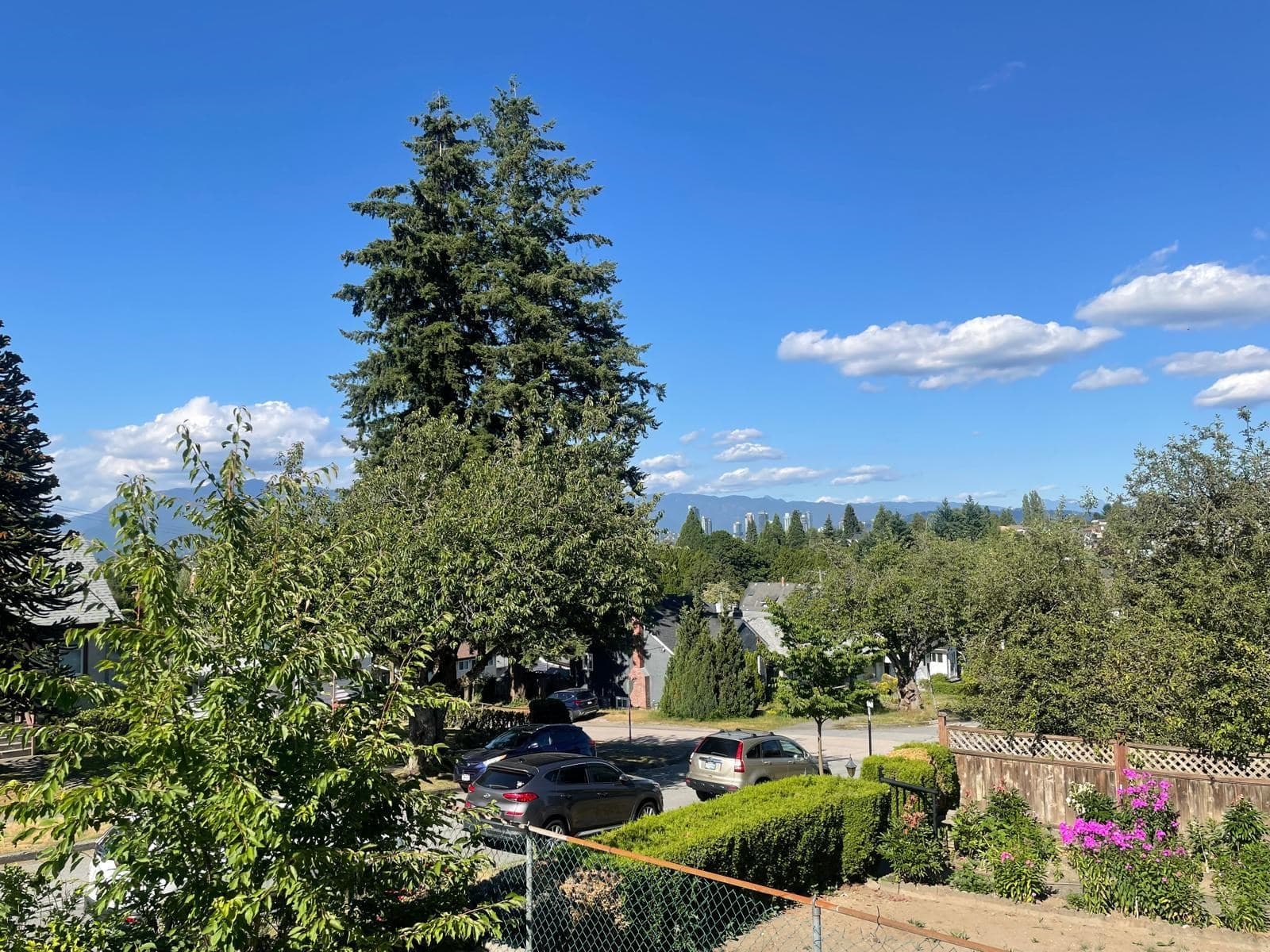 2478 E 28th Avenue, Vancouver, V5R 1R4 — photo 3
