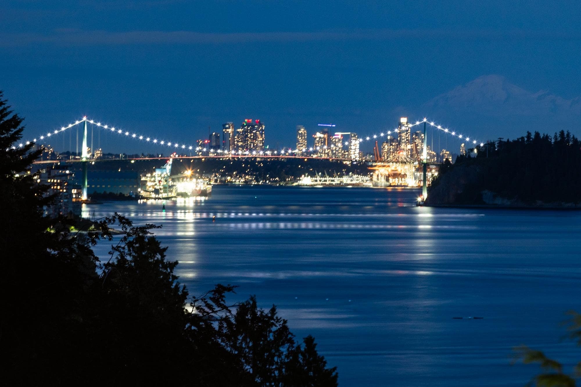 449 Hillcrest Street, West Vancouver, V7V 2L8 — photo 3