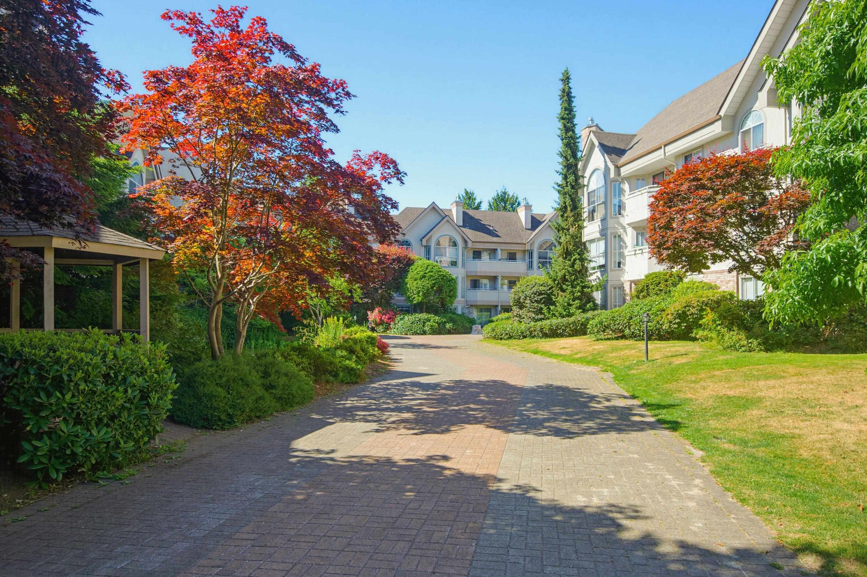 217 - 7151 121 Street, Surrey, V3W 0E7 — photo 4