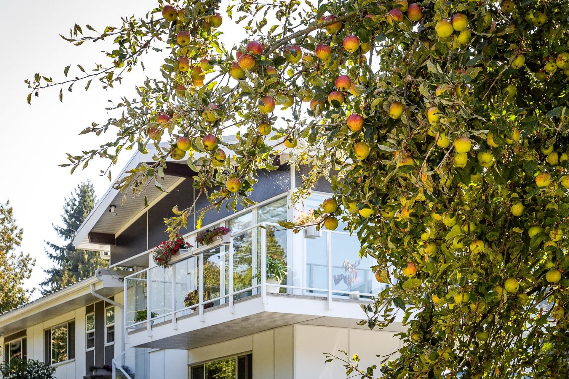 11906 100 Avenue, Surrey