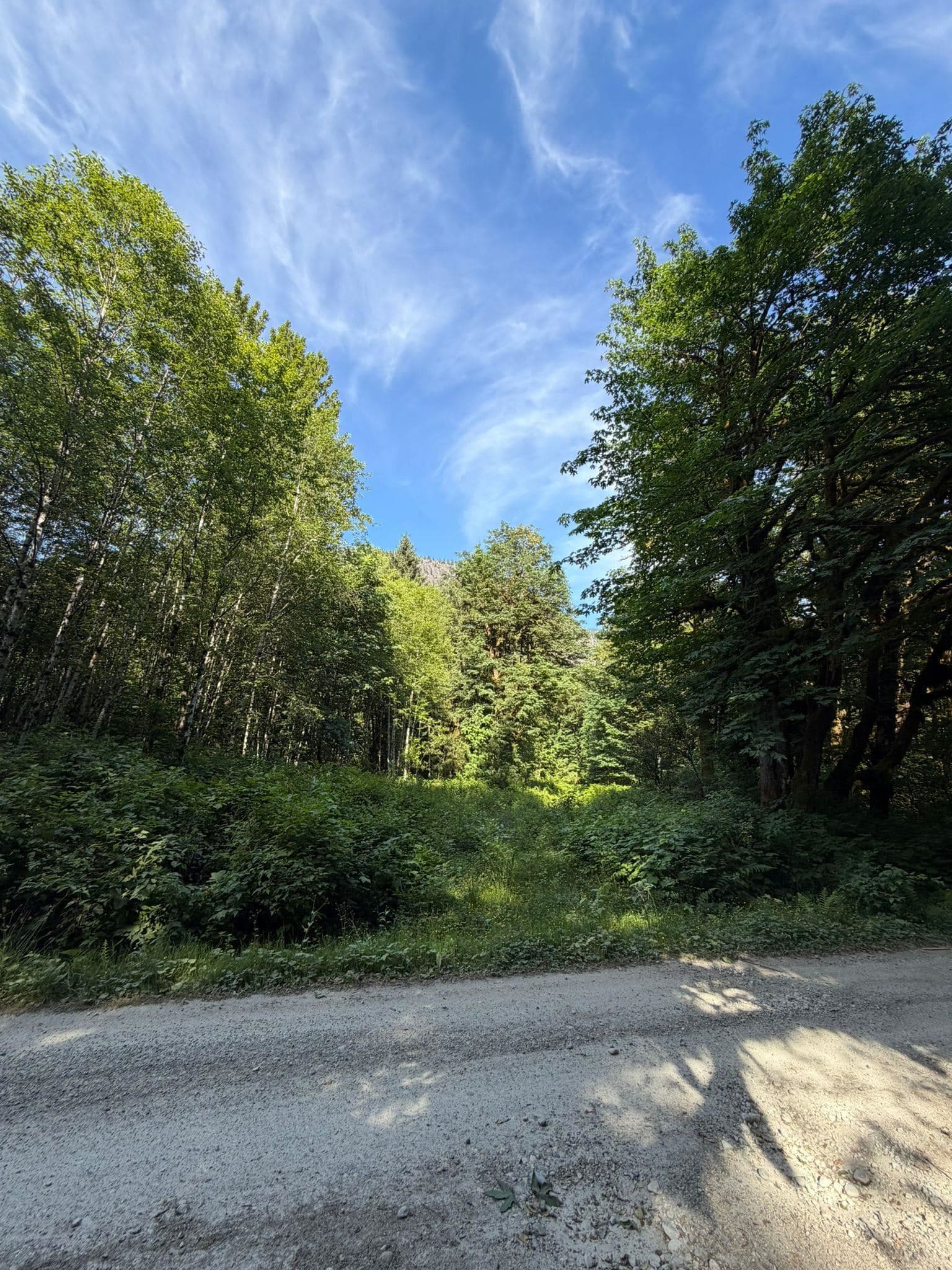 5 Upper Pitt River Road, Pitt Meadows, V0M 1C0 — photo 5