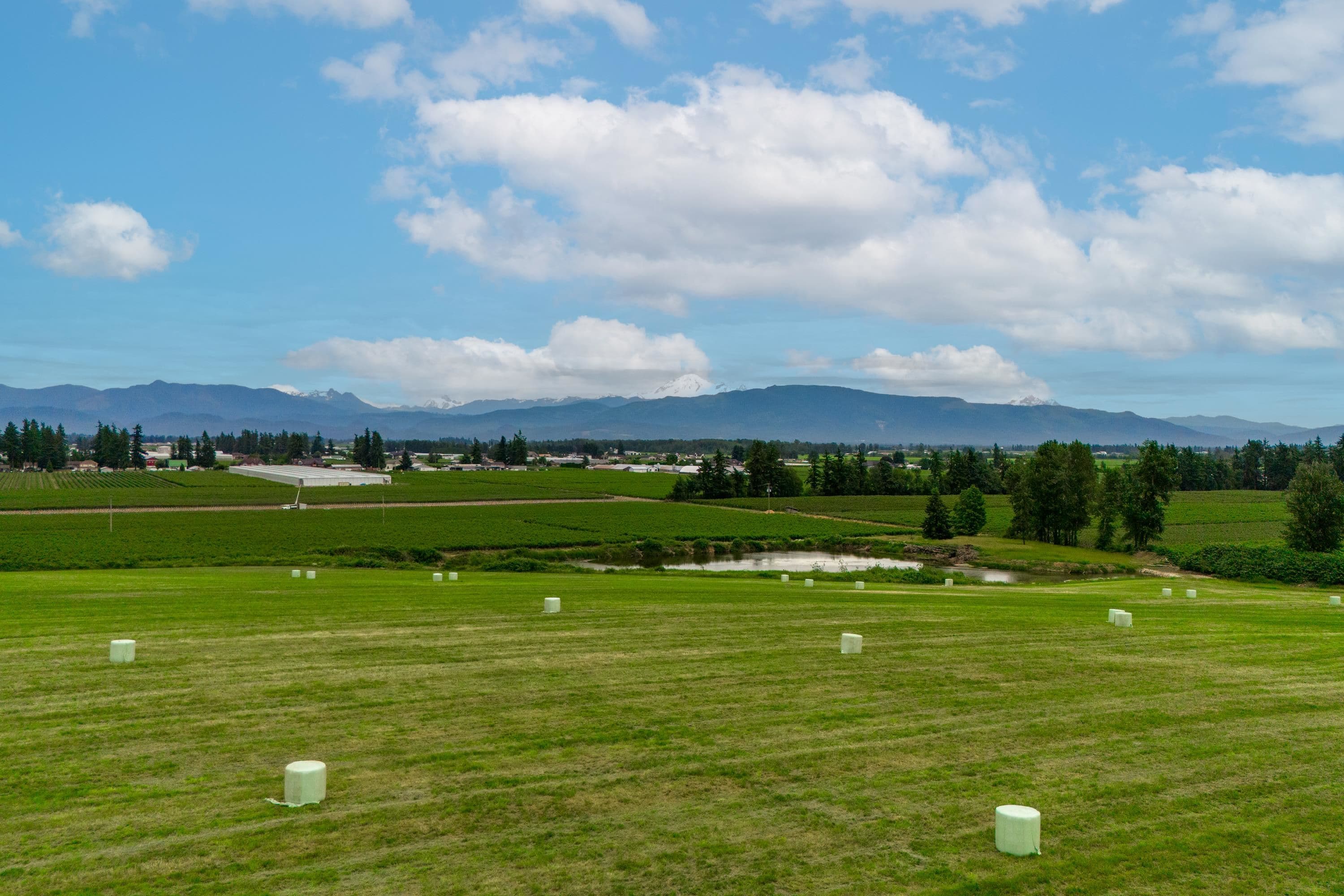 28116 Huntingdon Road, Abbotsford, V4X 1A3 — photo 3