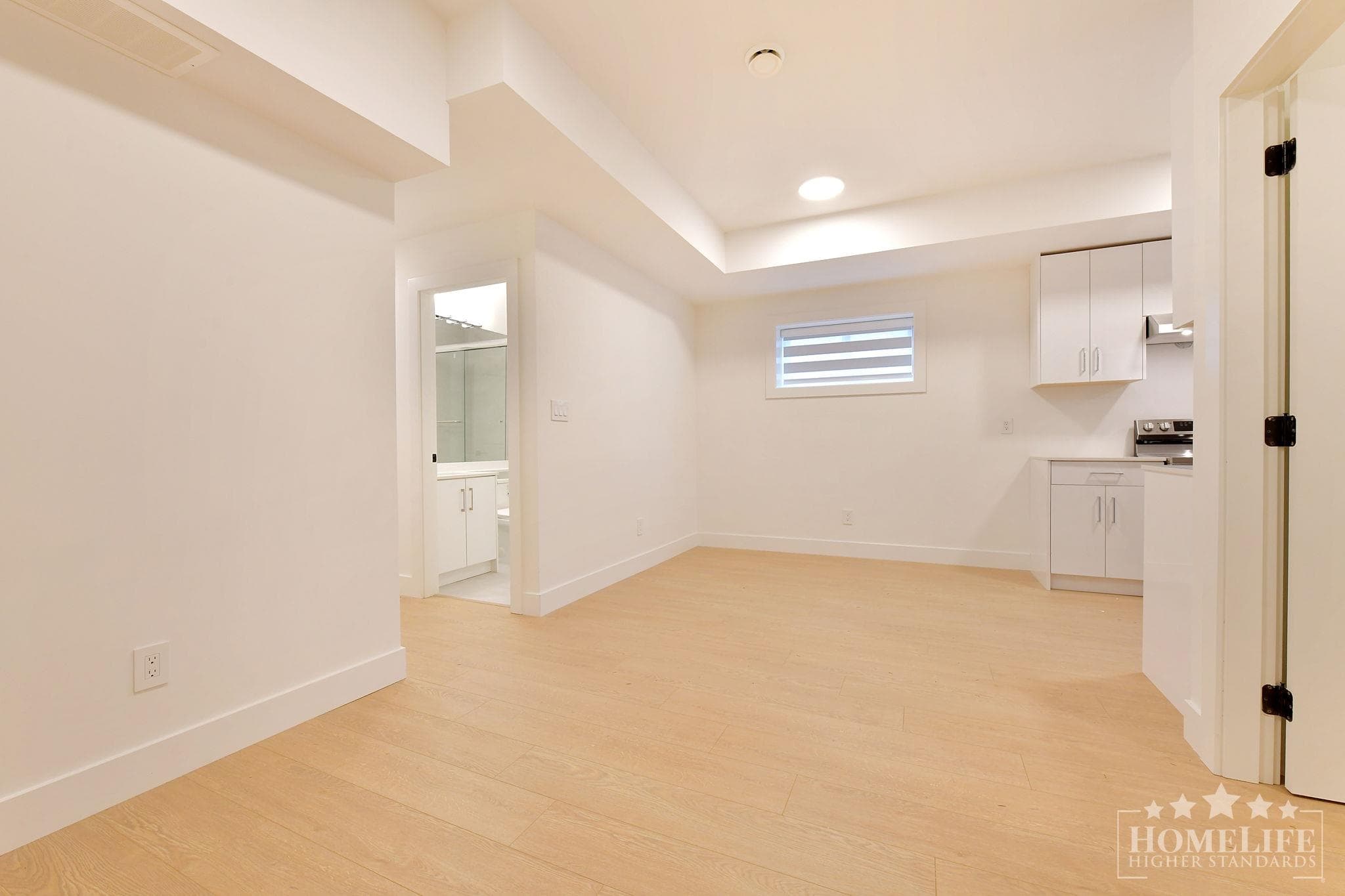 Basement - 16678 16 Avenue, Surrey, V3S 9X7 — photo 4