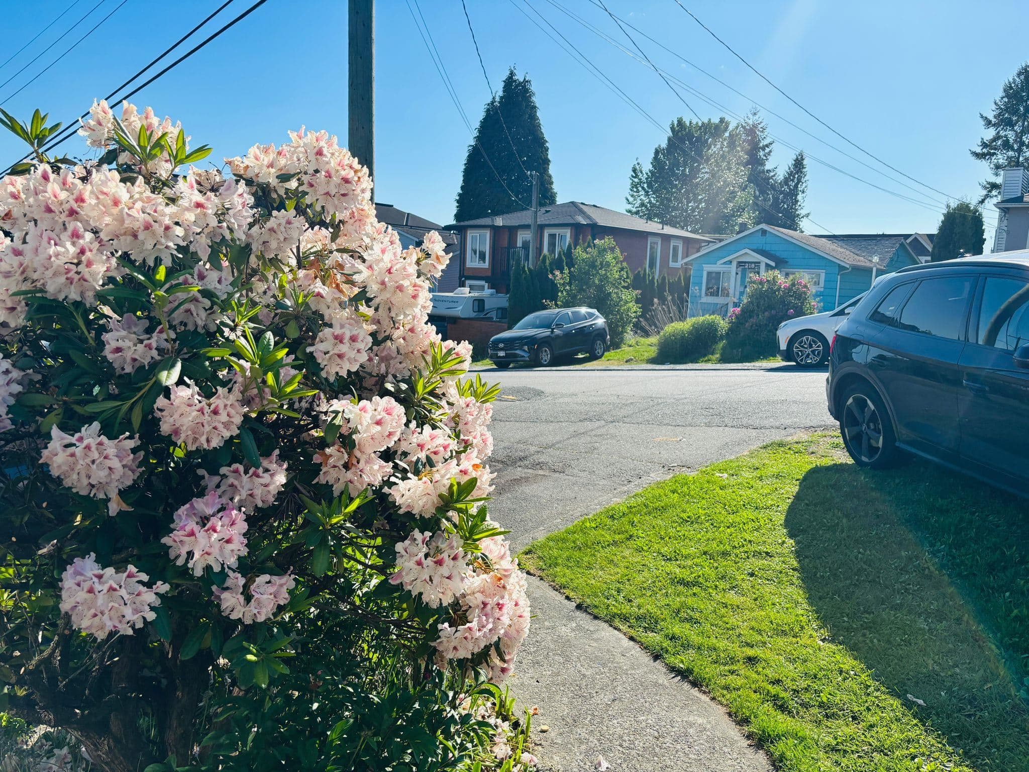 Front - 217 Lebleu Street, Coquitlam, V3K 4L7 — photo 2