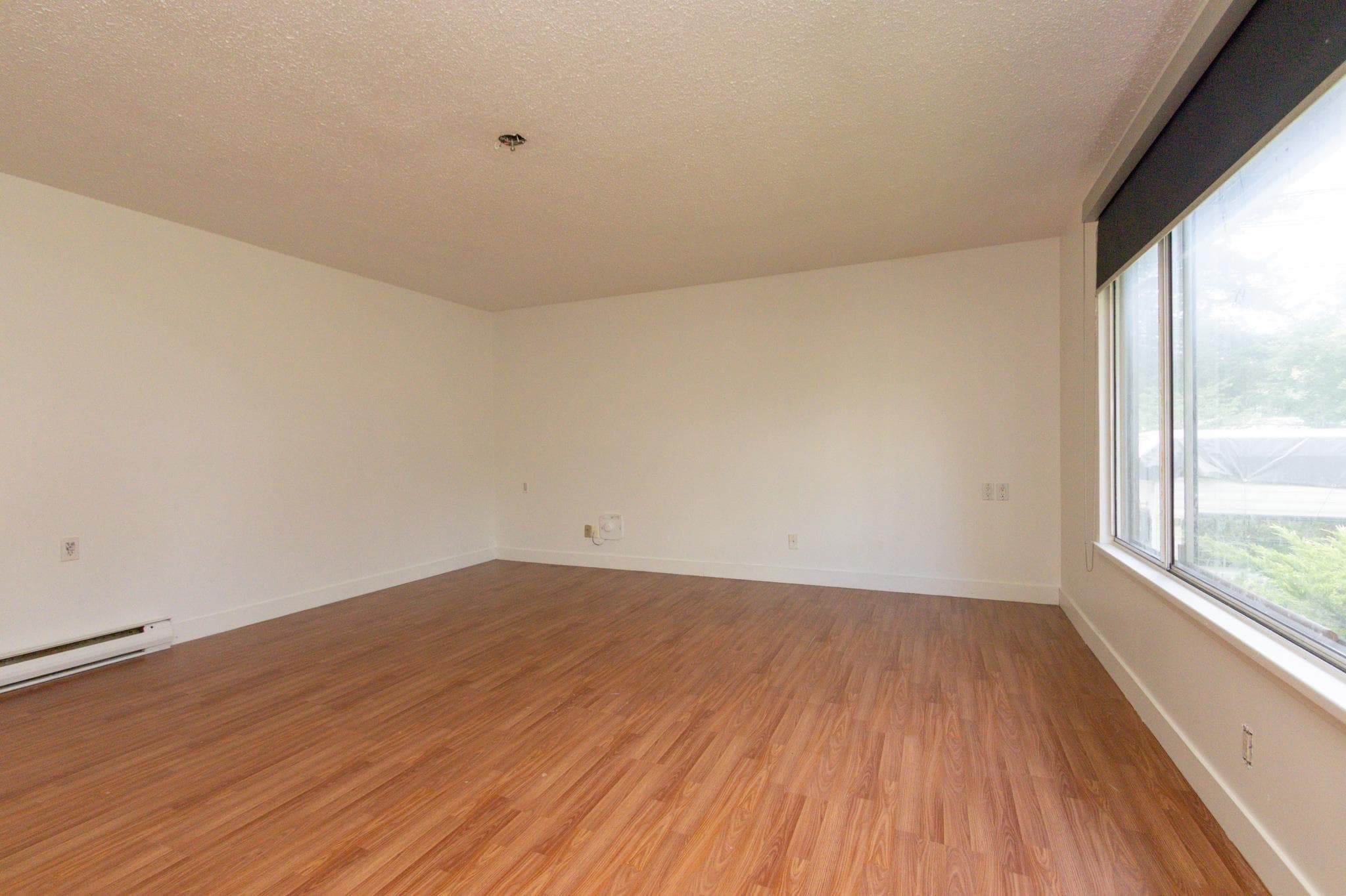 14448 106 Avenue, Surrey, V3R 1T1 — photo 5